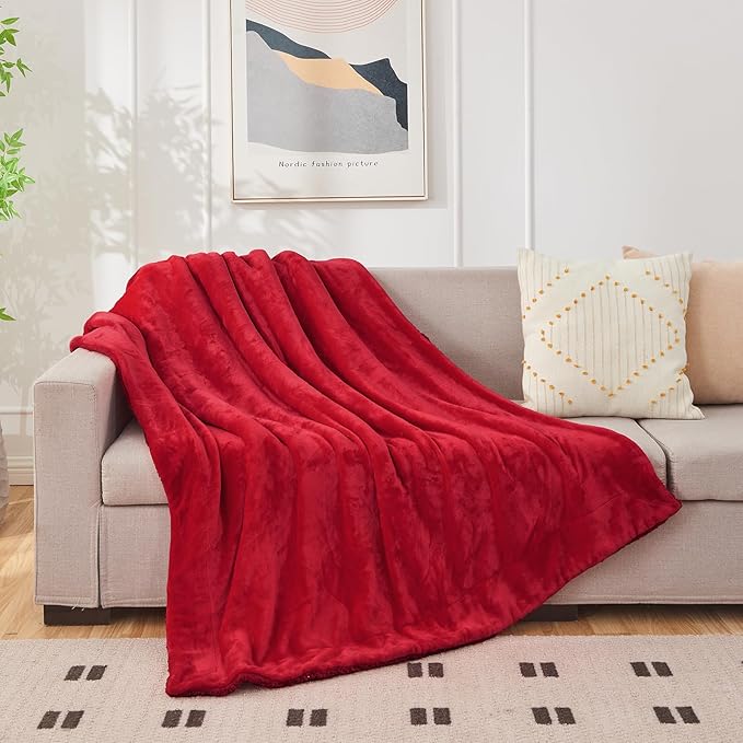 SOCHOW Sherpa Fleece Throw Blanket, Double-Sided Super Soft Luxurious Plush Blanket Twin Size, Classic Red, 60x80 inches