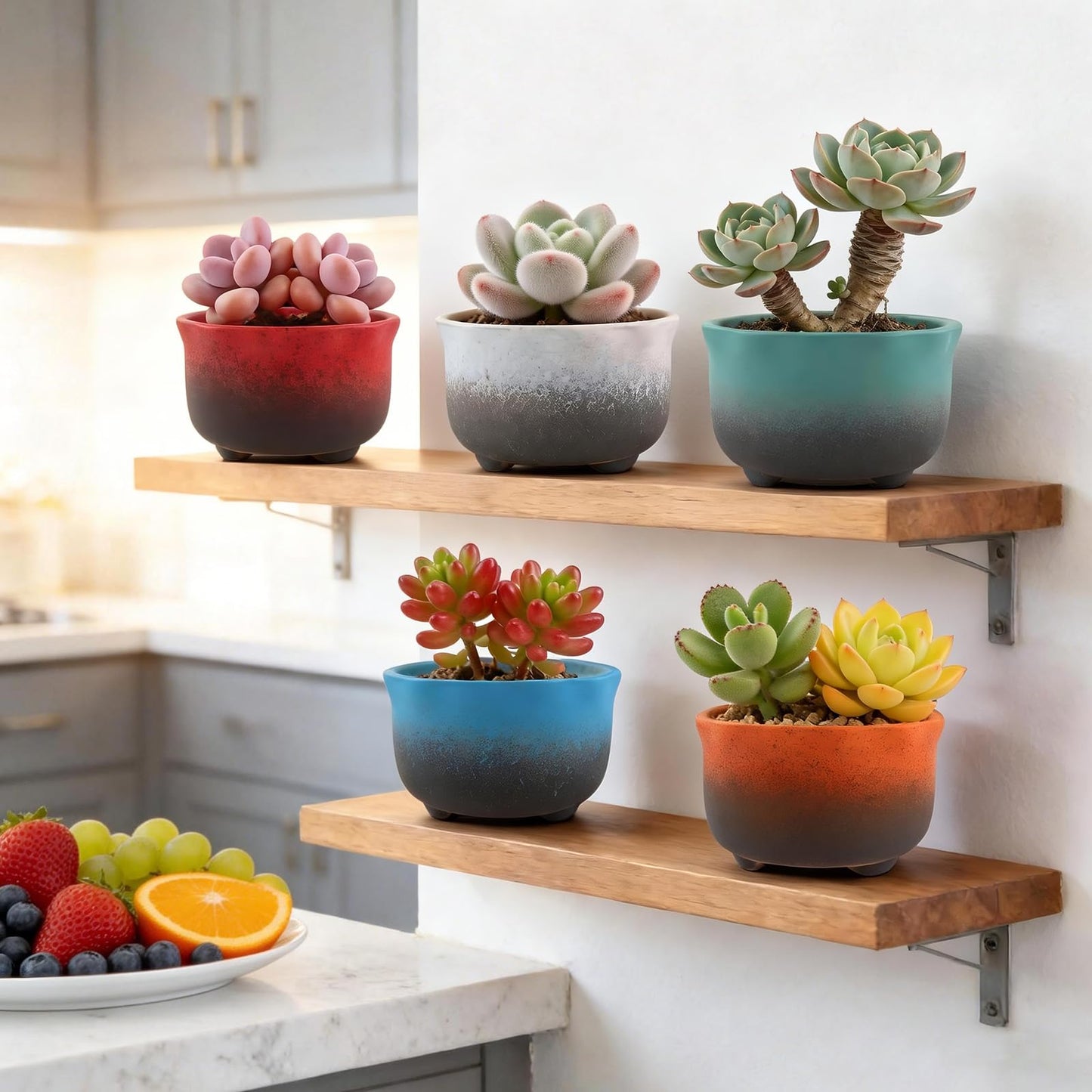 ginojex Small Ceramic Garden Pots Succulent Plant Planter Container with Drainage Set of 5 for Home Office Decor