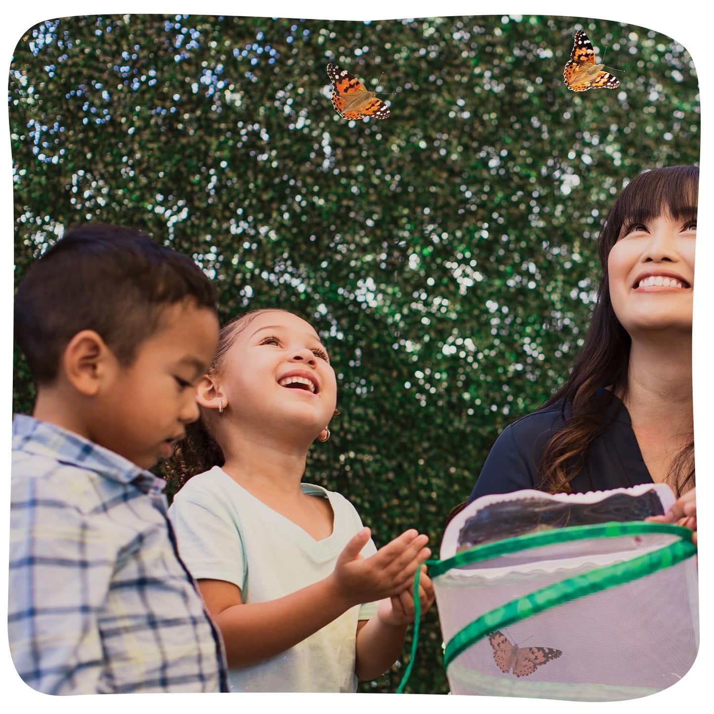 Insect Lore Raise and Release Butterfly Garden Kit – Caterpillar Habitat with redeemable Voucher – STEM-accredited Butterfly Growing Kit for Kids, Classrooms, and Homeschool Learning