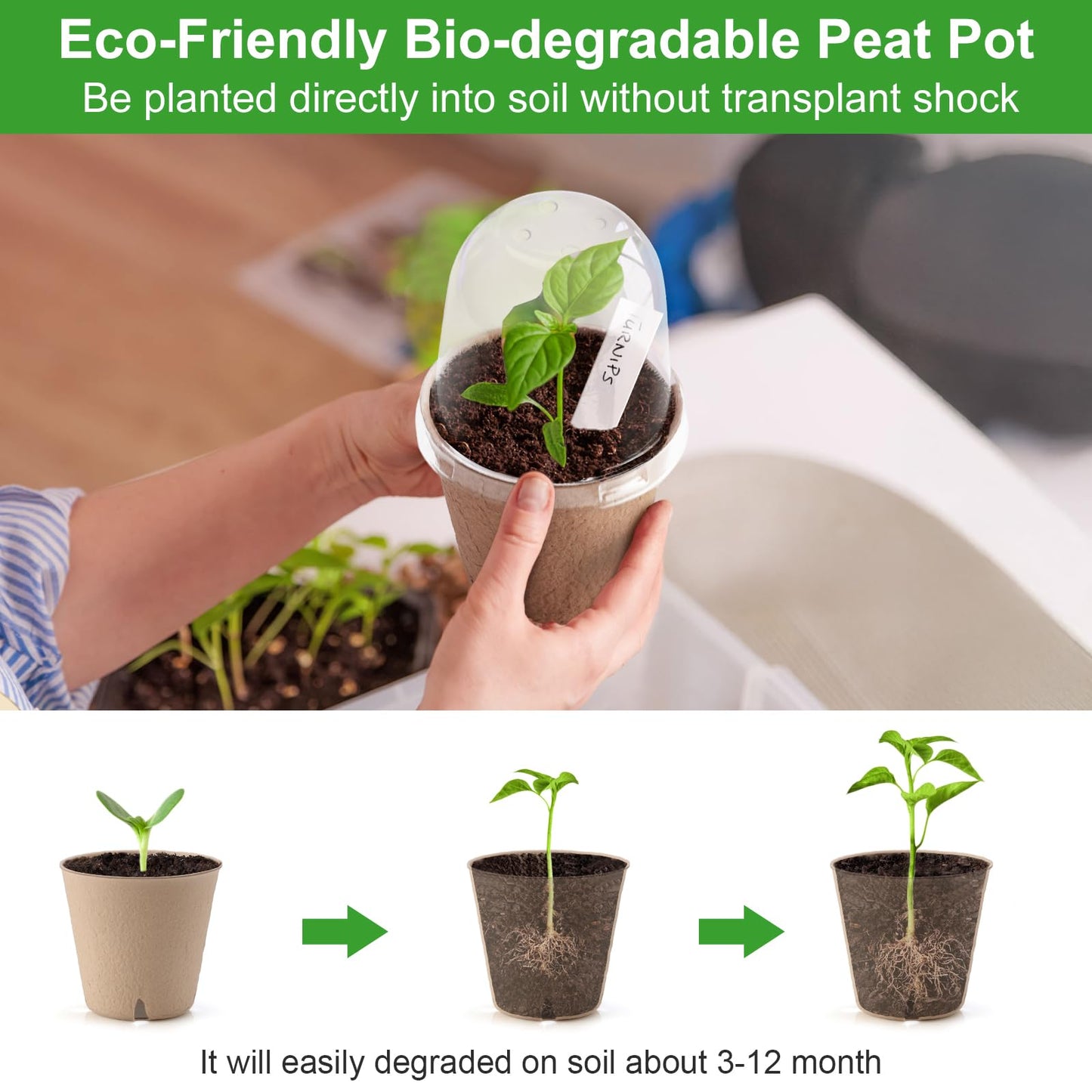 Baxrou 36 Set 3.15 Inch Peat Pots Plant Starters for Seedling with Humidity Dome,Herb Seed Starter Pots Kits, Garden Germination Nursery Pot wit 36 Plant Labels, 2 Transplant Tools.