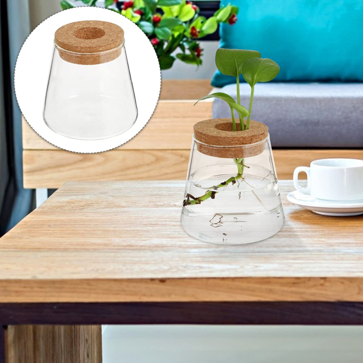 NOLITOY 2pcs Desktop Glass for Hydroponics Stylish Water Vase for Decor Glass Terrarium for Plant Propagation