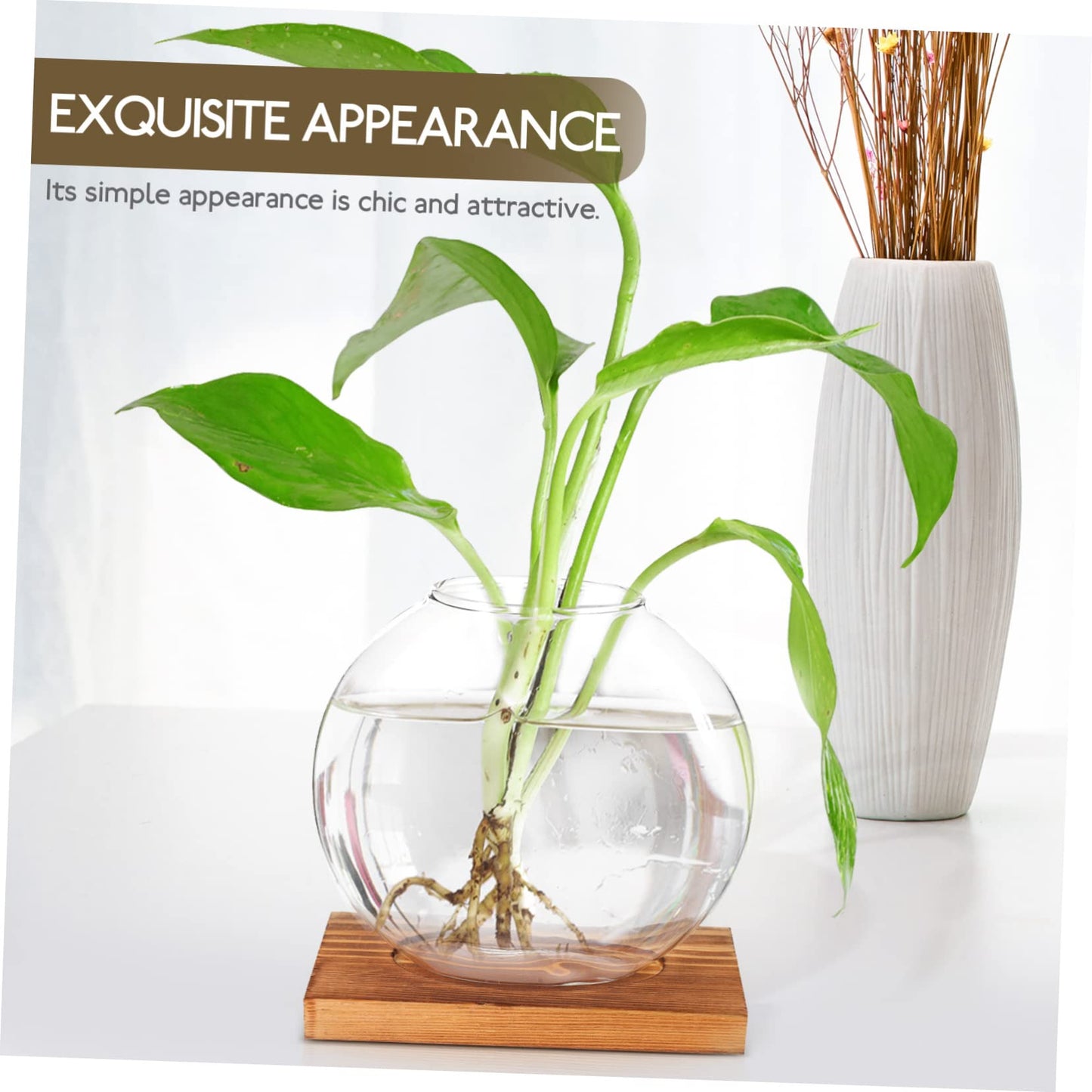 ABOOFAN Hydroponic Plant Vase with Base Glass Propagation Bottle for Desktop Decoration Transparent Terrarium Planter for Home Office Wedding Modern Tabletop Adornment