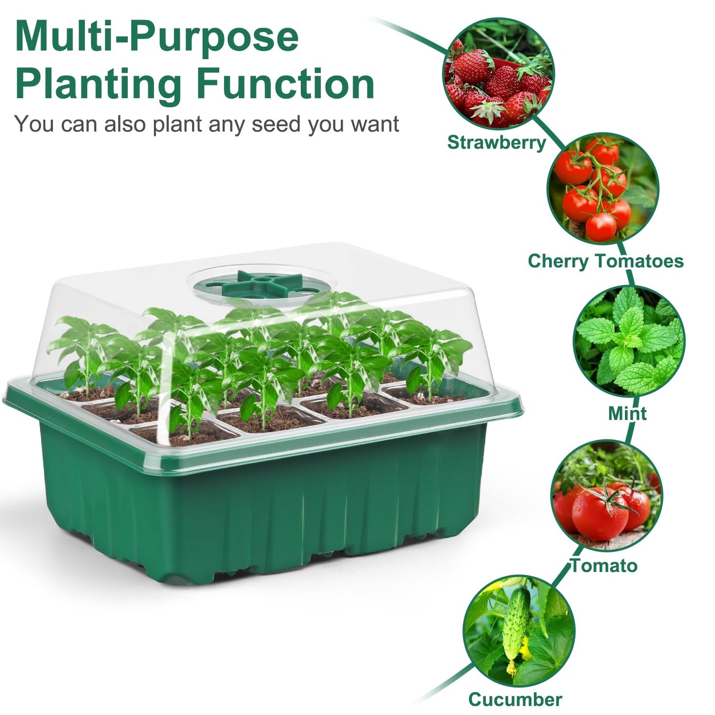 DJGINRO 12 Pack Seed Starter Tray Seed Starter Kit (144 Cells Total Tray) with Humidity Adjustable Dome, for Seeds Growing Starting Plant Germination Trays, Mini Green House Germination Trays.