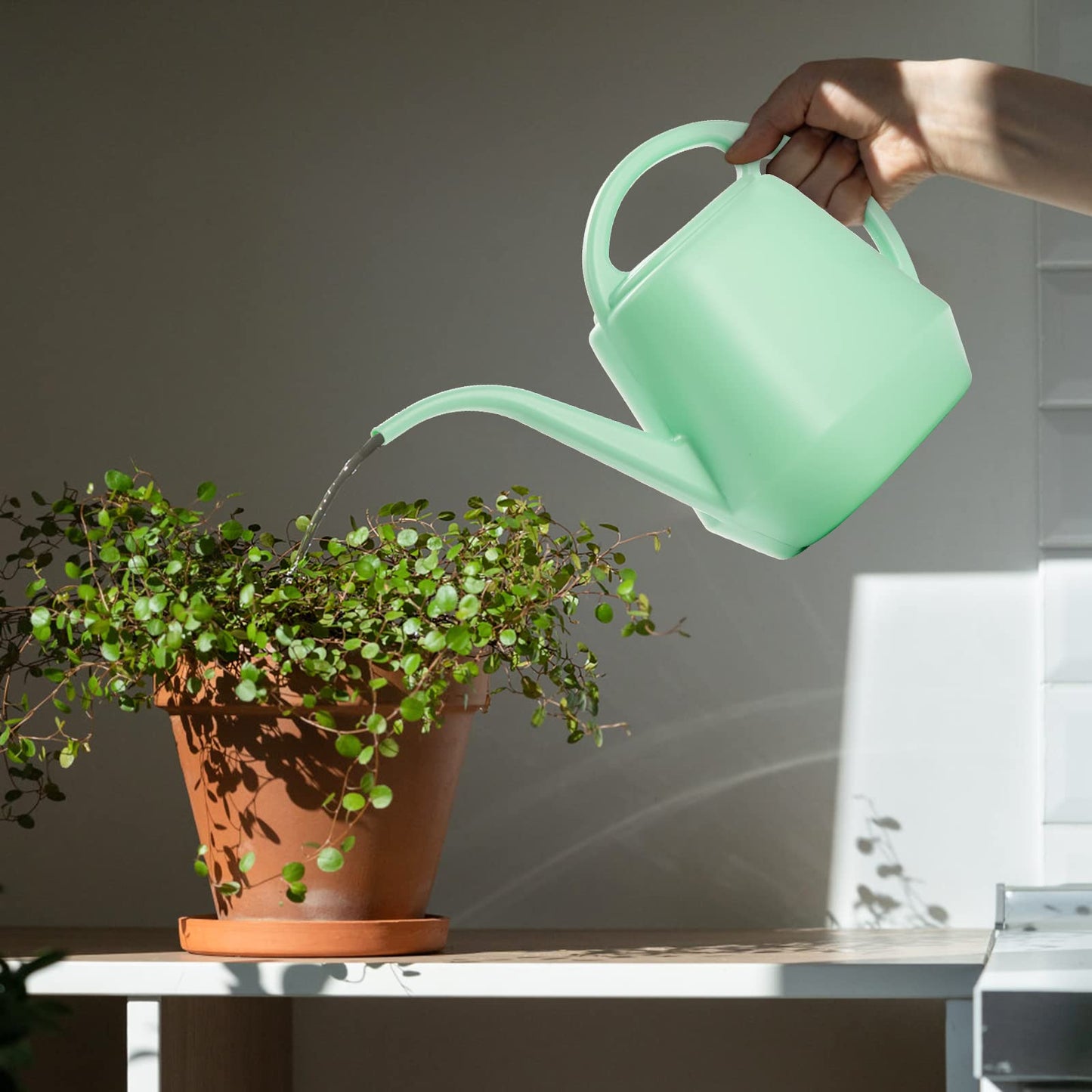 Fasmov Plastic Watering Can, 1-Gallon, Pine Green