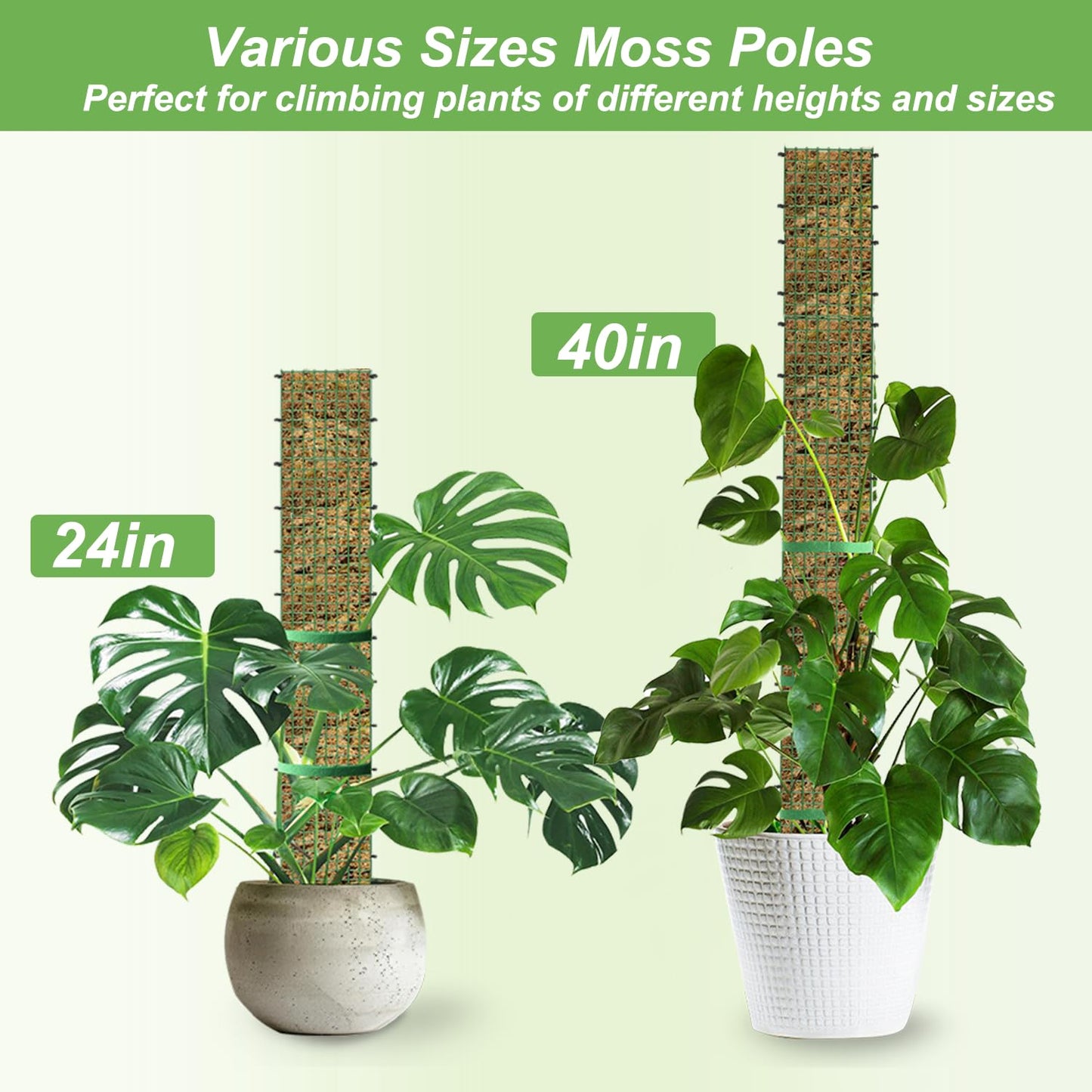 60"/40"/24" Metal Moss Pole, D Shape Sphagnum Moss Pole, Moss Poles for Climbing Plants, Monstera, Indoor Climbing Plants (3 Each of 40" 24")