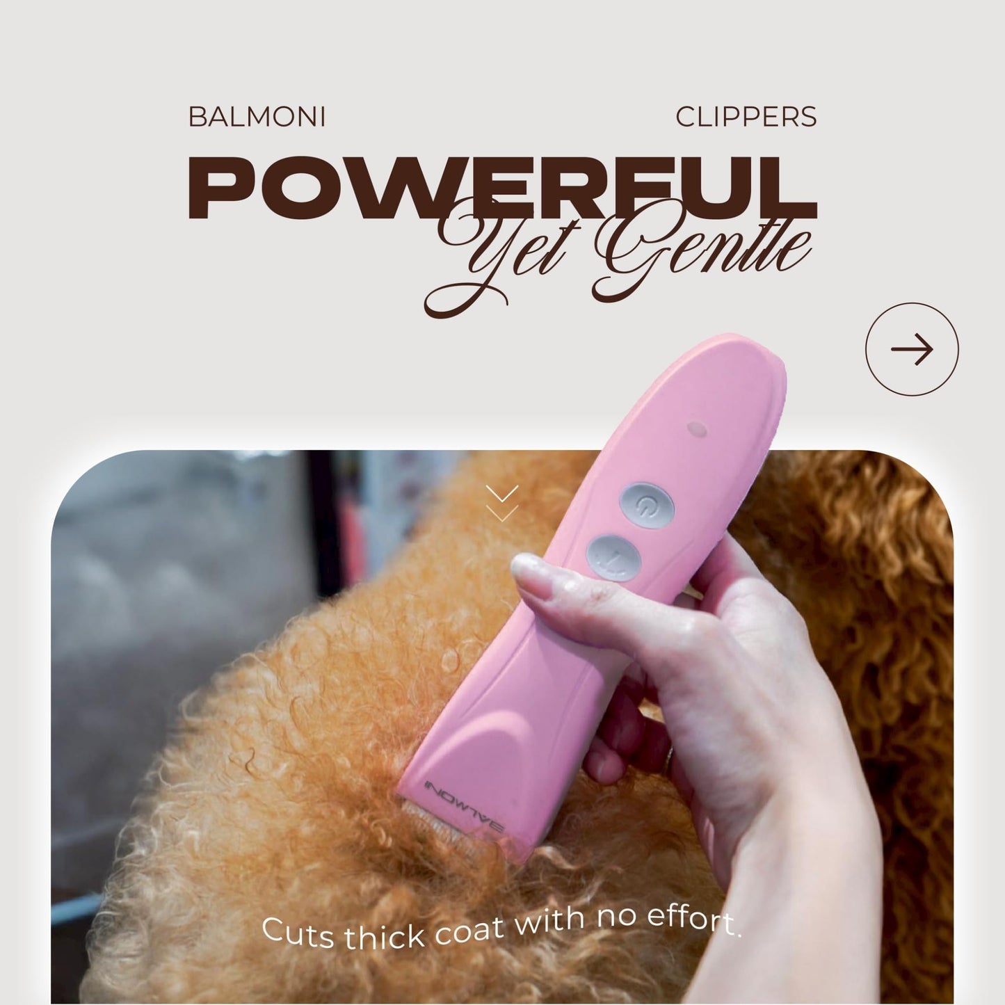 BALMONI Cordless Pet Grooming Kit for Dogs & Cats, Quiet & Powerful Motor Paw & Face Trimmer, Lightweight Clipper, Dopamine Pink, Parent (Bundle-Dopamine Pink)