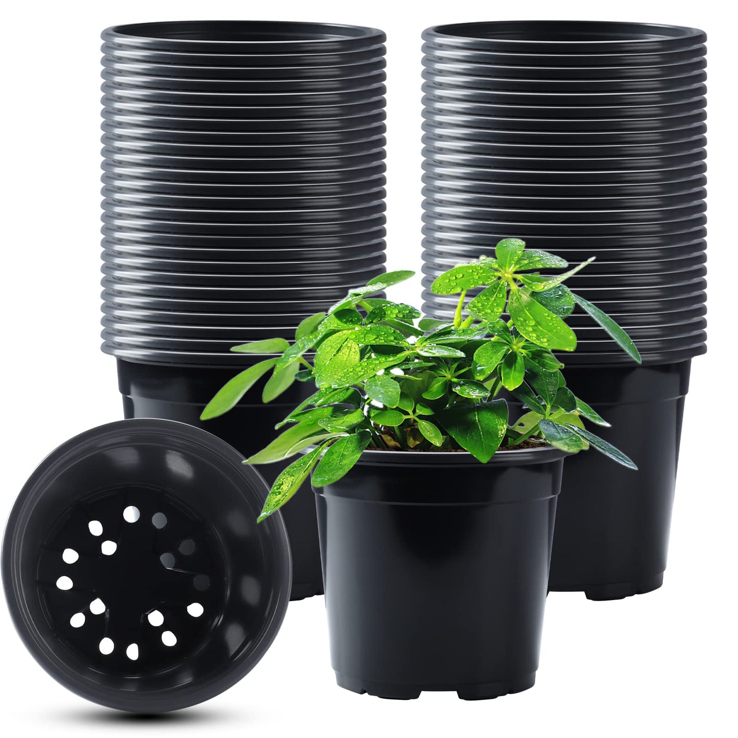 50Pcs Nursery Pots Variety Pack Plastic Pots for Plants,6 inch Seedling Pots with Drainage Holes Indoor Outdoor Flower Pots for Succulent Vegetable Herb