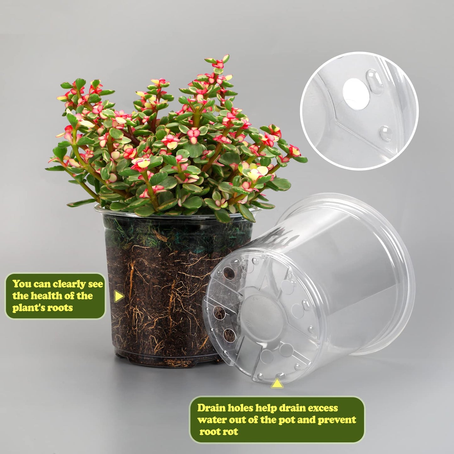 RAOOKIF 6/5/3.5 Inch Clear Nursery Pots with Drainage, 24 Pack Clear Nursery Pots for Plants, Flexible Plastic Garden Flower Pot