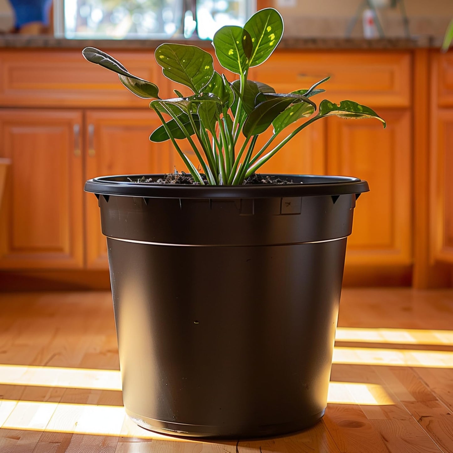 OUPSAUI 1 Gallon Pots for Plants,Flexible Gallon Plastic Nursery Pots with Drainage Holes, Plastic Pots for Outdoor Plants (1Gal-20pcs)