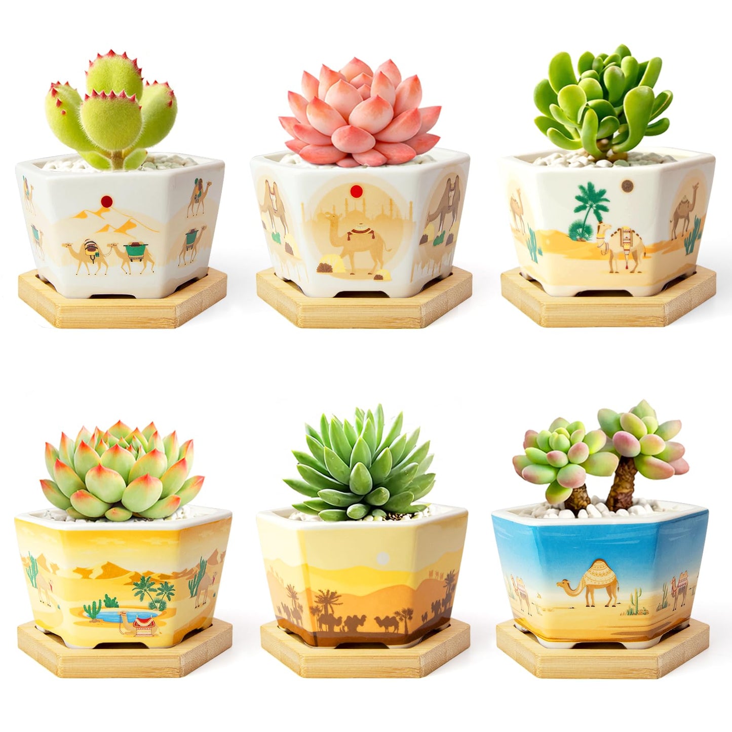 Succulent Pots, 6 Pack Floral Plant Pots with Drainage Tray, 3.7" Small Flower Pots for Indoor Plants, Ceramic Succulent Planters for Cactus, Home Office Decor