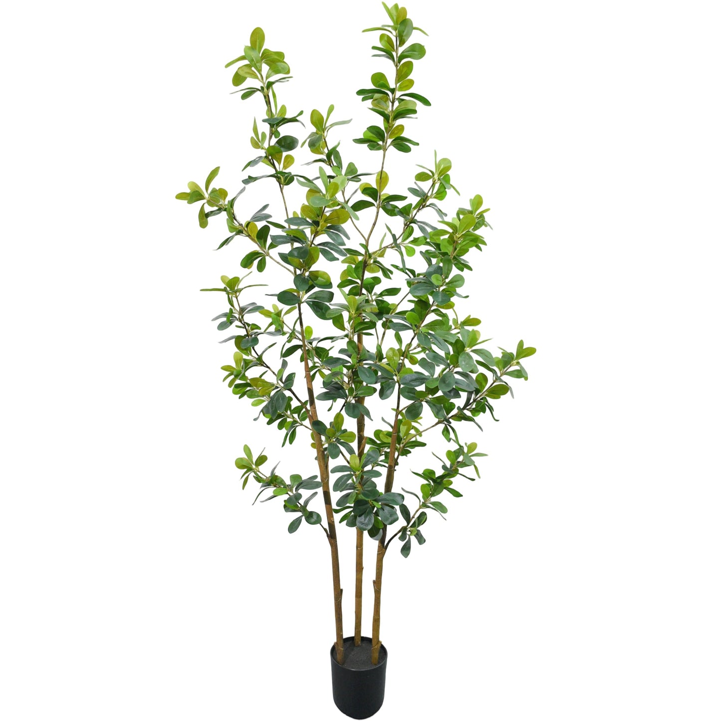 ZSENENT Fake Trees Premium 3 Main Trunks 5 ft Faux Black Olive Tree, Realistic Olive Trees Artificial Indoor, Low-Maintenance, Ideal Artificial Tree for Home Office Décor (Green, 5 FT)