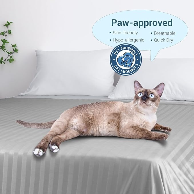 Elegear Revolutionary Cooling Blanket Queen, Absorbs Heat to Keep Body Cool for Night Sweats, Double Sided Arc-Chill3.0 Cooling Fiber Q-Max>0.5, Lightweight Summer Cold Blankets for Sleeping 79“ x 86”