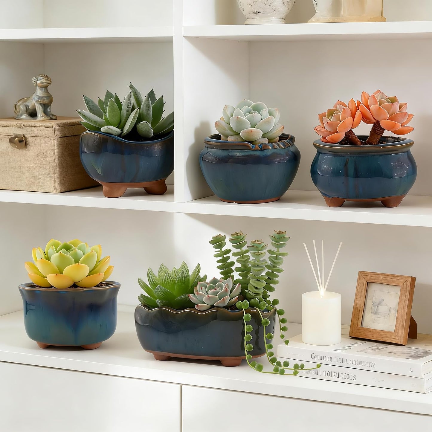 ginojex Ceramic Succulent Garden Pots Small Plant Planter Container with Drainage Set of 5 for Home Office Decor