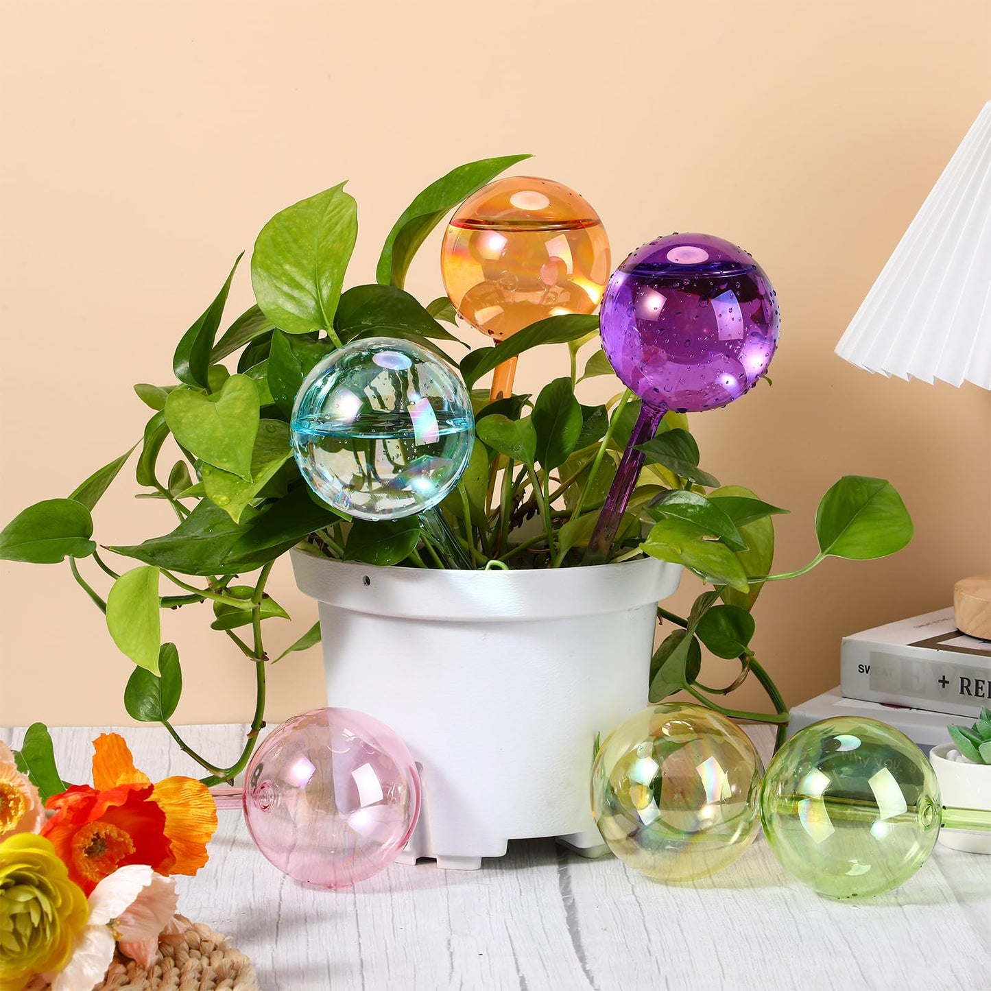 Maxdot 6 Pcs 6.7 Oz Plant Watering Globes Glass Automatic Self Watering Planter Bulbs Self Feeder Balls Irrigation Device Auto Waterer Planter Insert Stakes for Indoor Outdoor Garden Potted