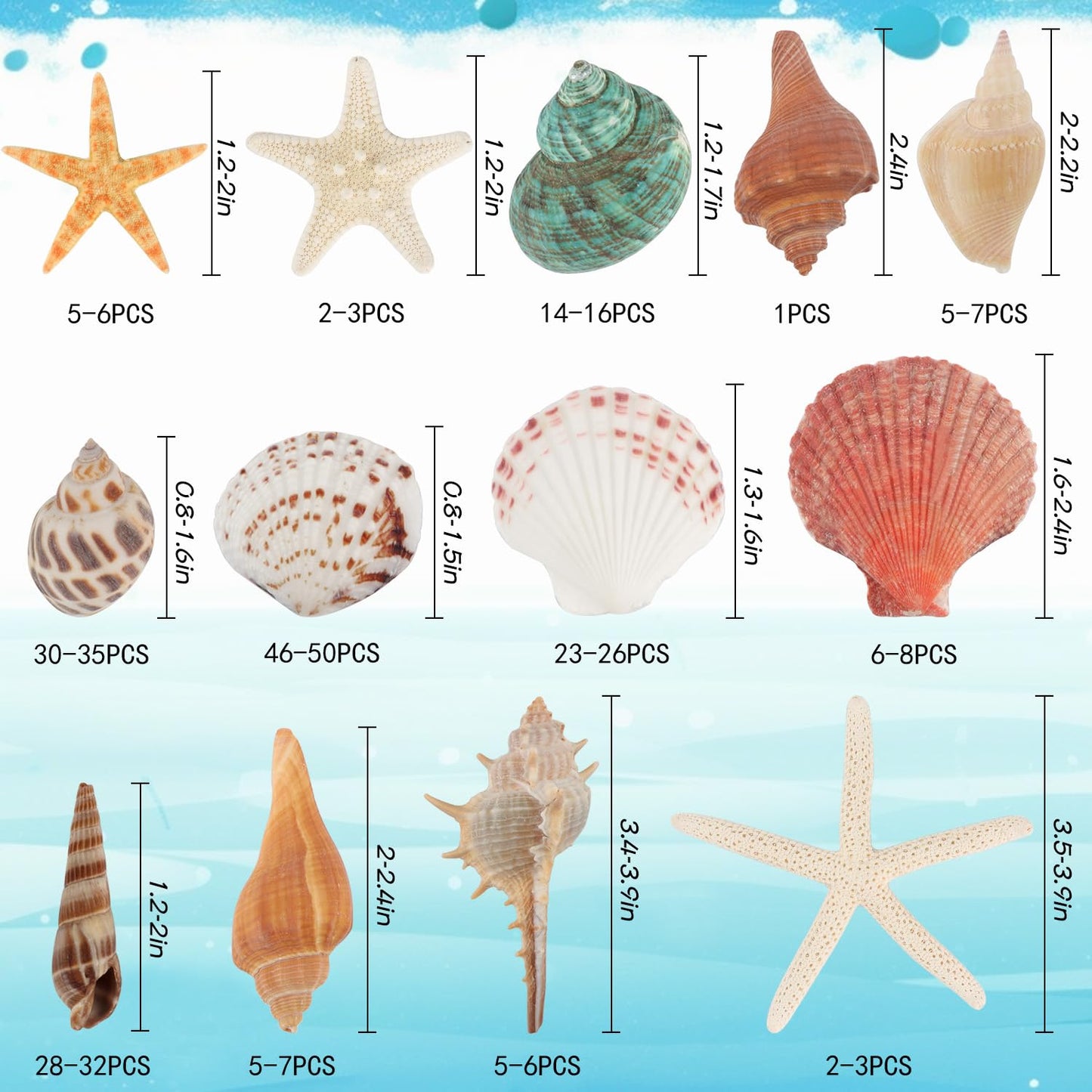 Fangoo 1.5 LB Mixed Sea Shells, 130+ PCS Beach Seashells Starfish Oyster Shells Various Sizes Ocean Seashells for Fish Tank Vase Fillers Beach Theme Party Wedding Decor DIY Crafts Home Decorations