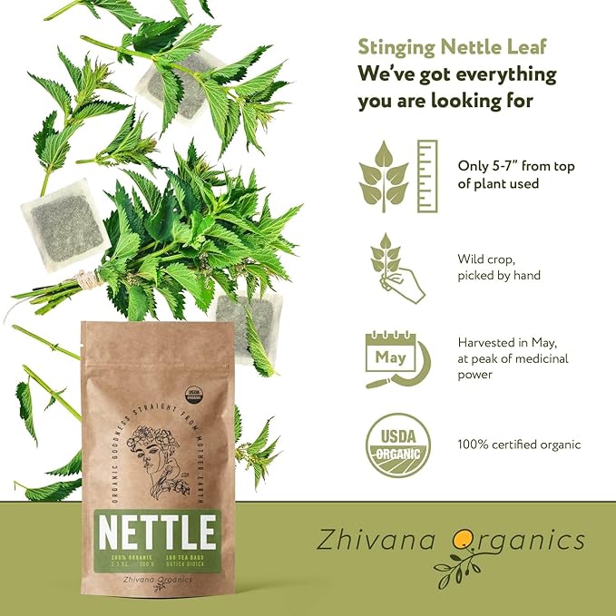 Organic Nettle Tea (100 Tea Bags) - Stinging Nettle Leaf TeaBags (Urtica Dioica) - Te de Ortiga Verde Organica - Support Digestion, Fluid Balance, Kidney, Skin, Hair