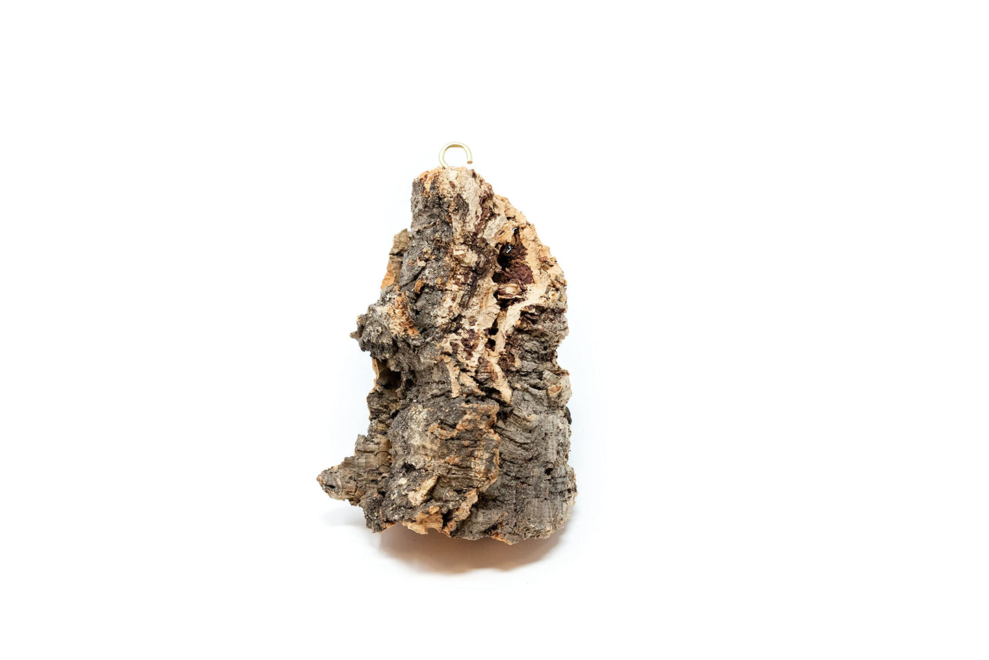 3 Small Chunk Natural Cork Bark DIY Kit with Three Assorted Air Plants, Glue and Hook - Live Tillandsia Succulent House Plant - Wholesale and Bulk - Easy Care Indoor and Outdoor Plants