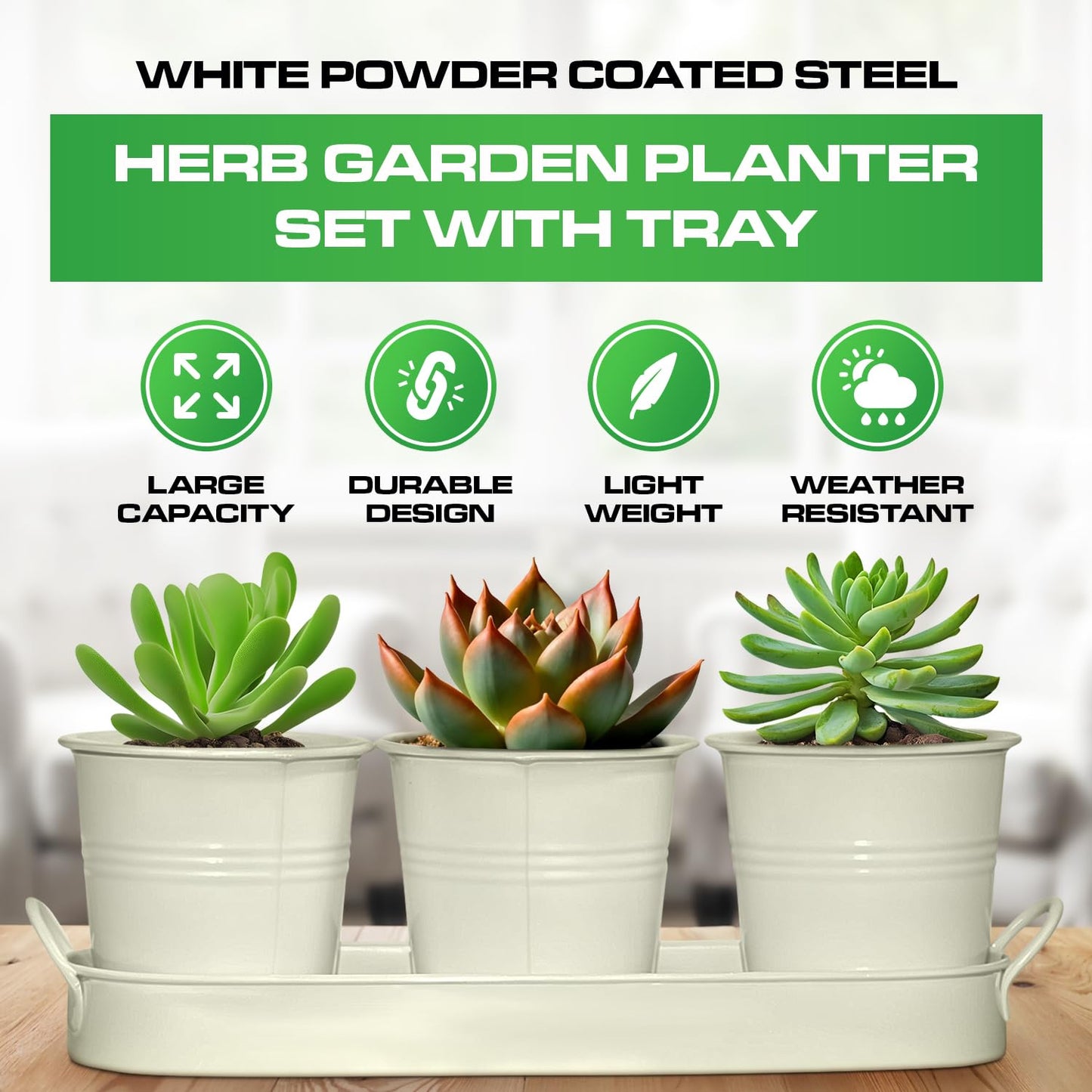 Plexon Herb Planter Indoor Garden Set of 3 with Tray, Metal Herb Pots for Indoor Plants, Round Kitchen Garden Kit Ideal for Windowsill Planter or Countertop, Off-White Powder Coated