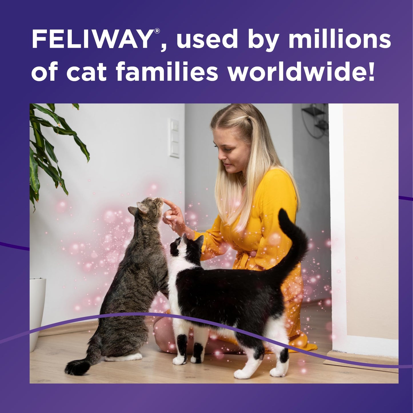 FELIWAY MultiCat 30 Day Cat Calming Plug In Pheromone Diffuser Starter Kit, 48ml - Helps Reduce Conflicts and Signs of Tension in Multi-Cat Households