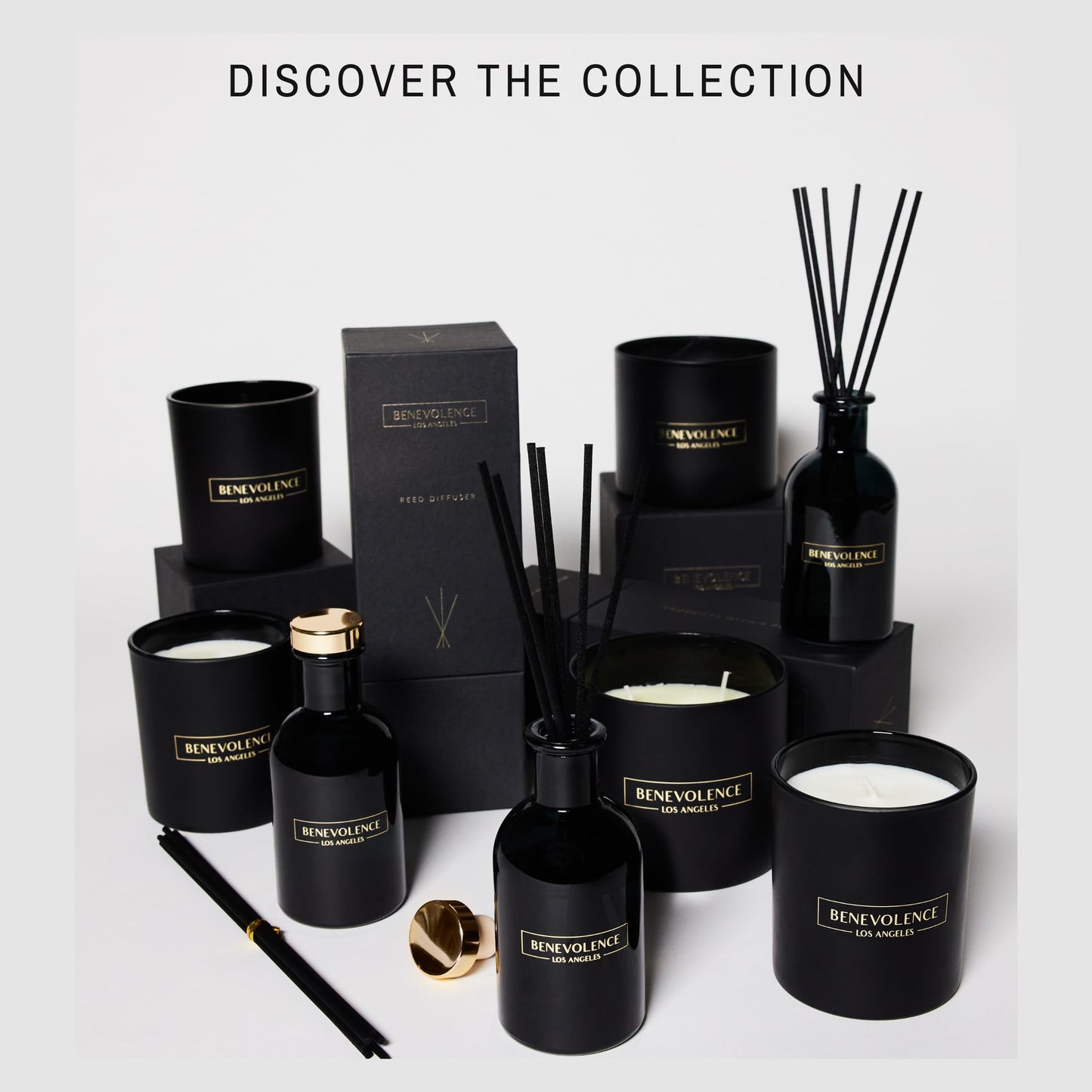 Benevolence LA Reed Diffusers for Home, Lavender & Eucalyptus Relaxing Fragrance | Aromatherapy Reed Diffuser Sticks with Gift Box, Scented Sticks for Bathroom | Home Décor