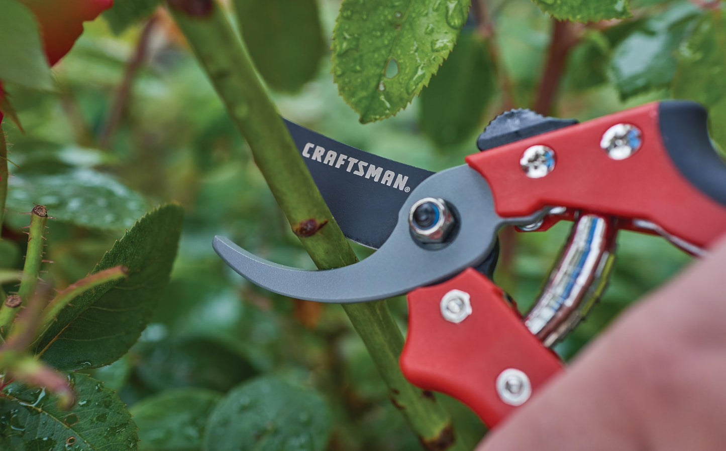 Craftsman 3/4-in. Manual Cut Bypass Pruner