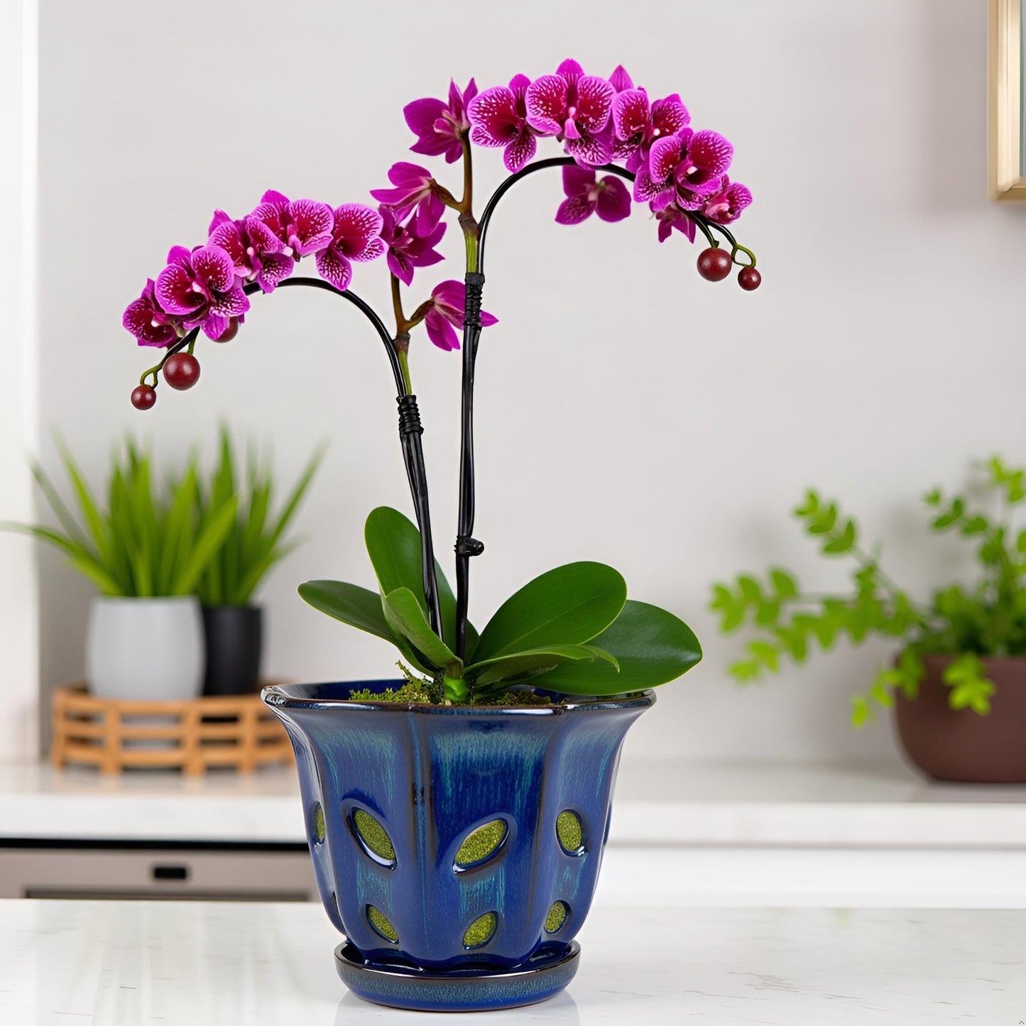 Grdthzey Ceramic Orchid Pots with Holes 6 inch (Dark Blue)