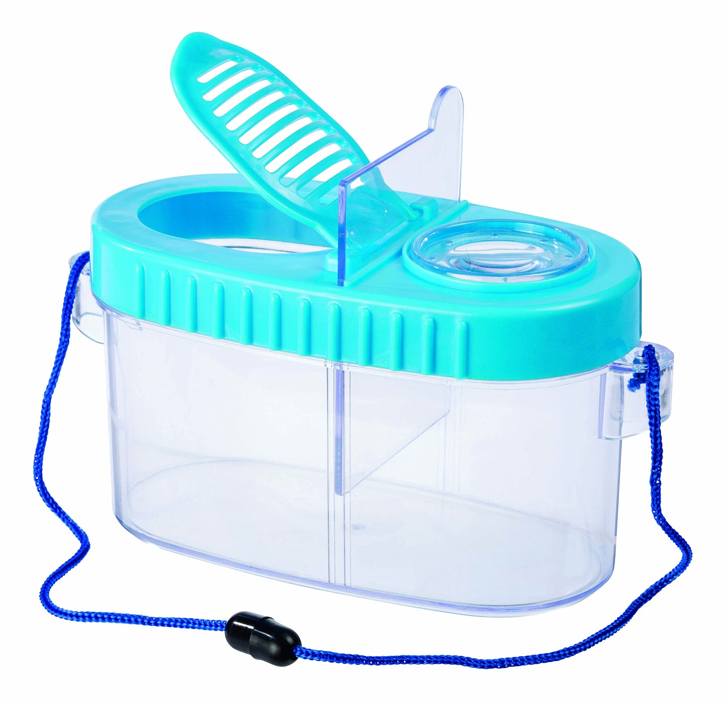 Backyard Nature Explorer Set, Educational and Fun