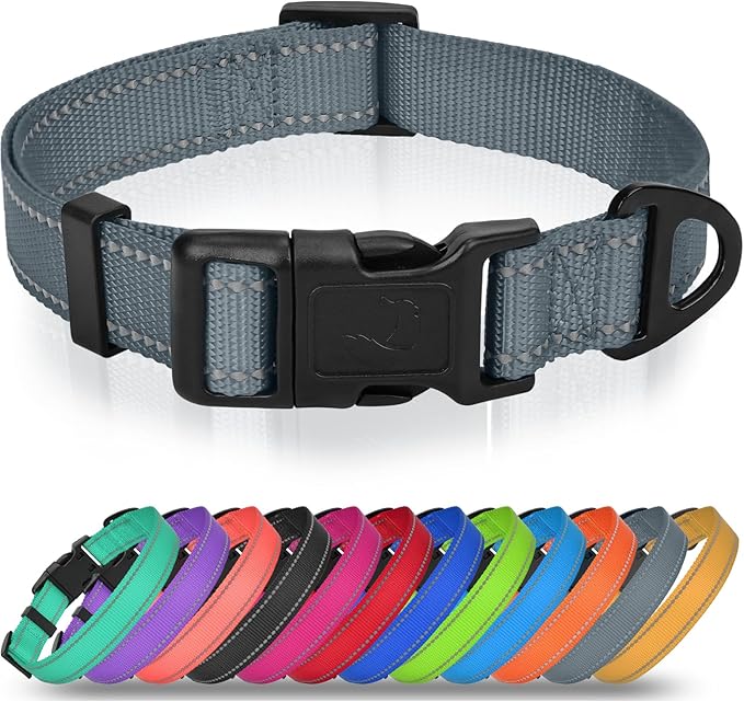 Joytale Feather-Light Dog Collar for Medium & Large Dogs, 1", Red