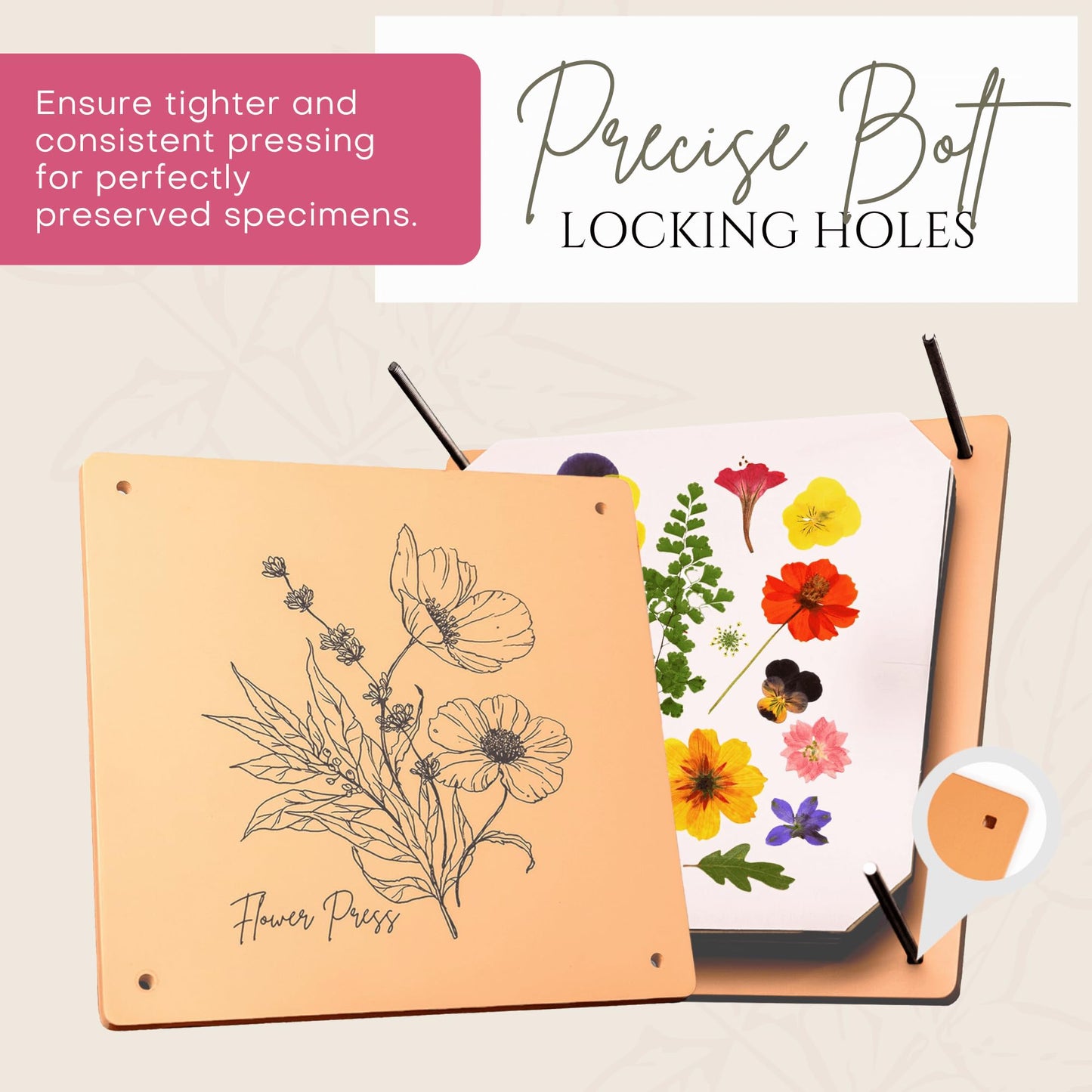 Wooden Flower Press - Durable Bolt Lock Design Complete Pressing Kit w/White Absorbent Sheets, Ebook Guide & More - 10 Layers for Drying & Preserving Flowers - Ideal Craft Gift for Nature Lovers
