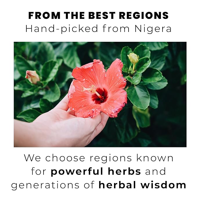 HIBISCUS HARMONY Loose Leaf 100 Tea Bags HARVESTED WITH CARE IN NIGERIA