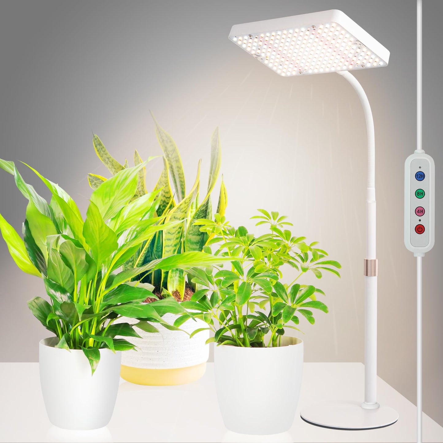 JINHONGTO Tabletop Grow Light, Bright Desk Grow Lights for Seed Starting, Bonsai, Succulent, Cactus, 4/8/12/16/20H Timer, 25 Watt Power Draw, NO Need Adapter, 16"-24" Height, Daisy Chain Function