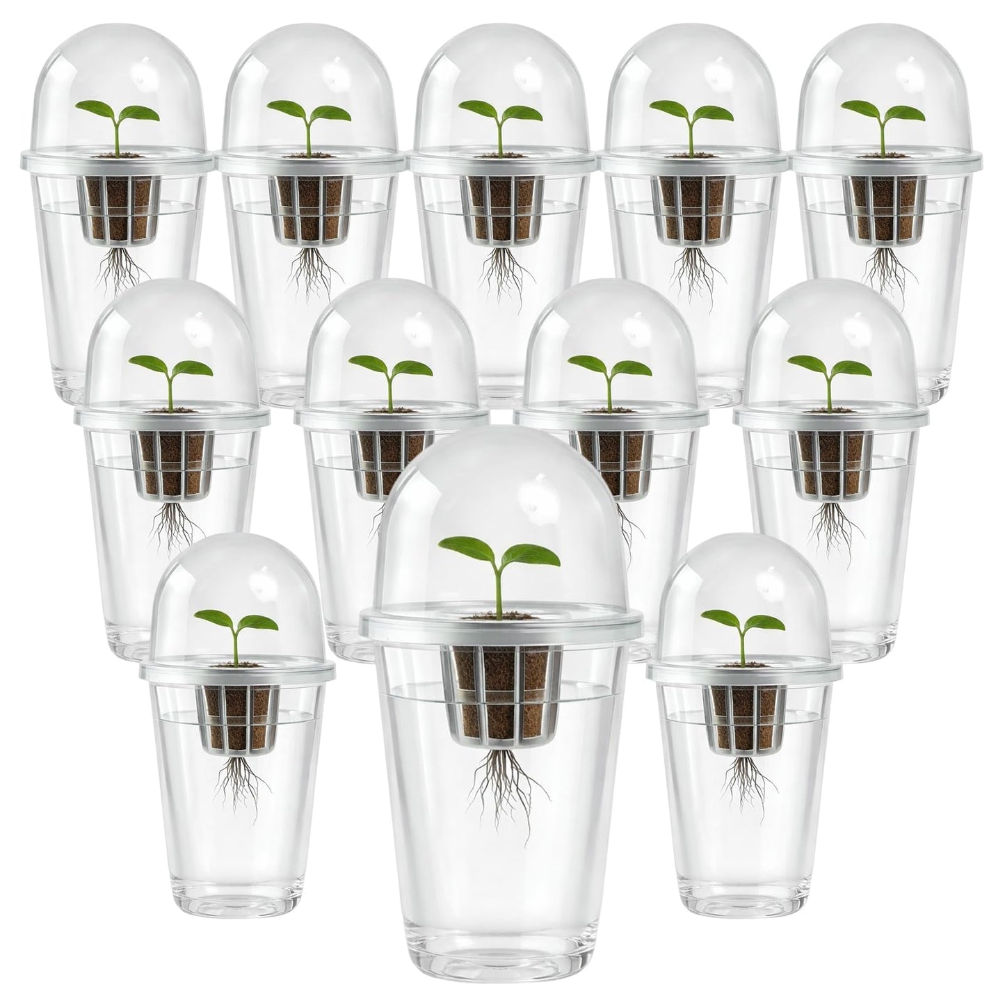 BLUASPAY 12 Pack Transparent Hydroponic Cups with Humidity Domes, 5in1 Hydroponics Growing System Kit, Clear Self Watering Planters for Indoor Plants, Herbs, Seed Starting, Root Monitoring