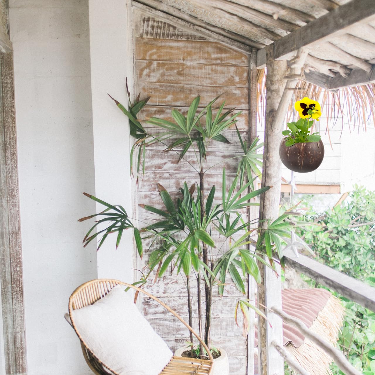 GANAZONO Coconut Shell Hanging Planter with Rope - Natural Indoor & Outdoor Hanging Pot for Orchids and Small Plants Eco-Friendly Round Coconut Planters for Home and Balcony Decor