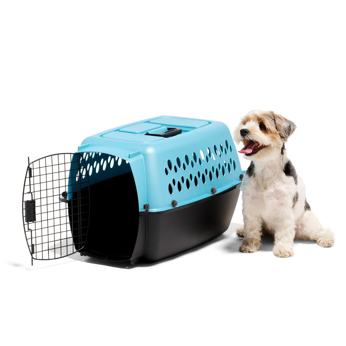 Petmate Fashion Vari Dog Kennel, 24in, for Pets 10-20lbs, Light Blue