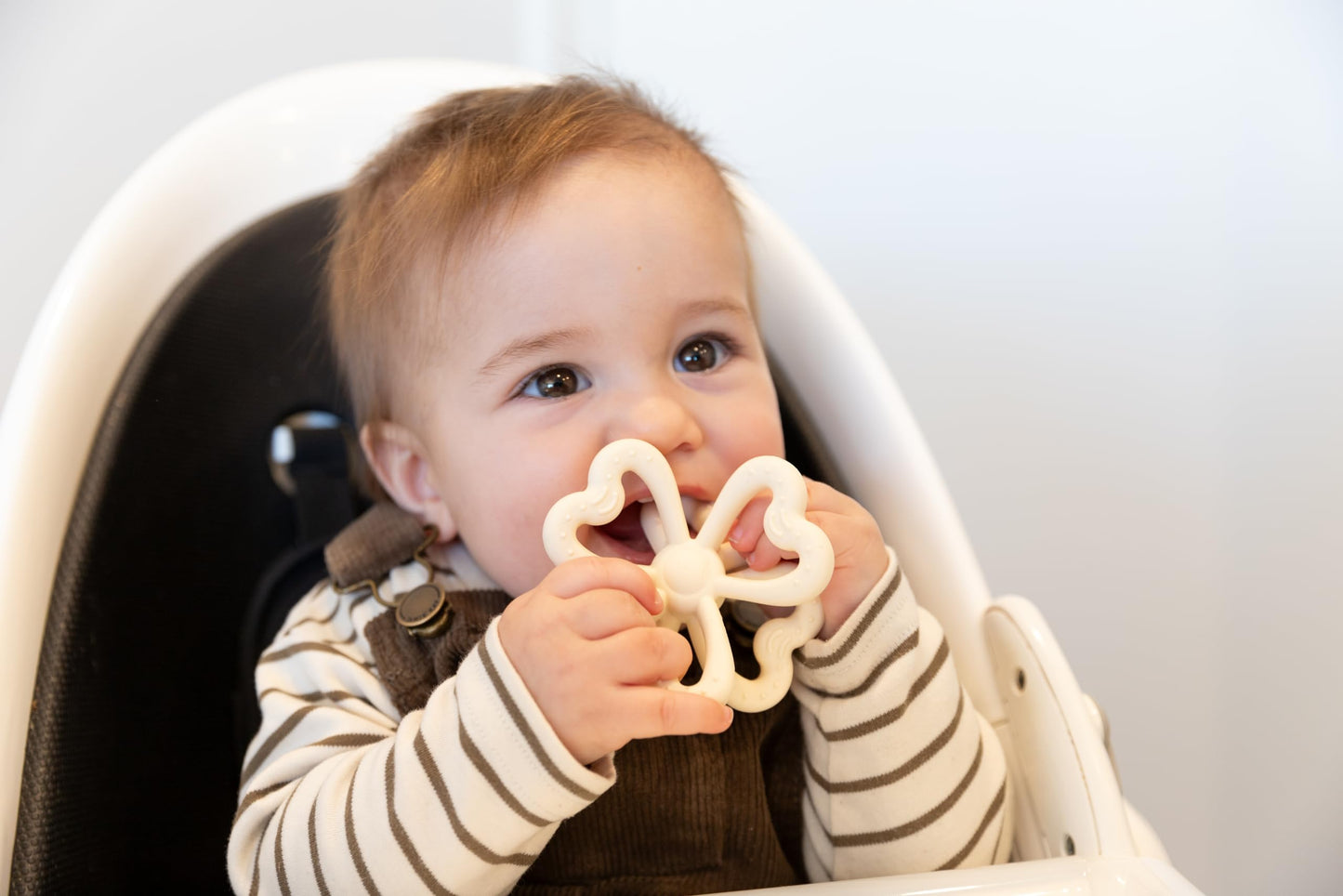 Haakaa Clover Baby Fruit Feeder & Haakaa Silicone Clover Teether(Steel Blue & Copper)