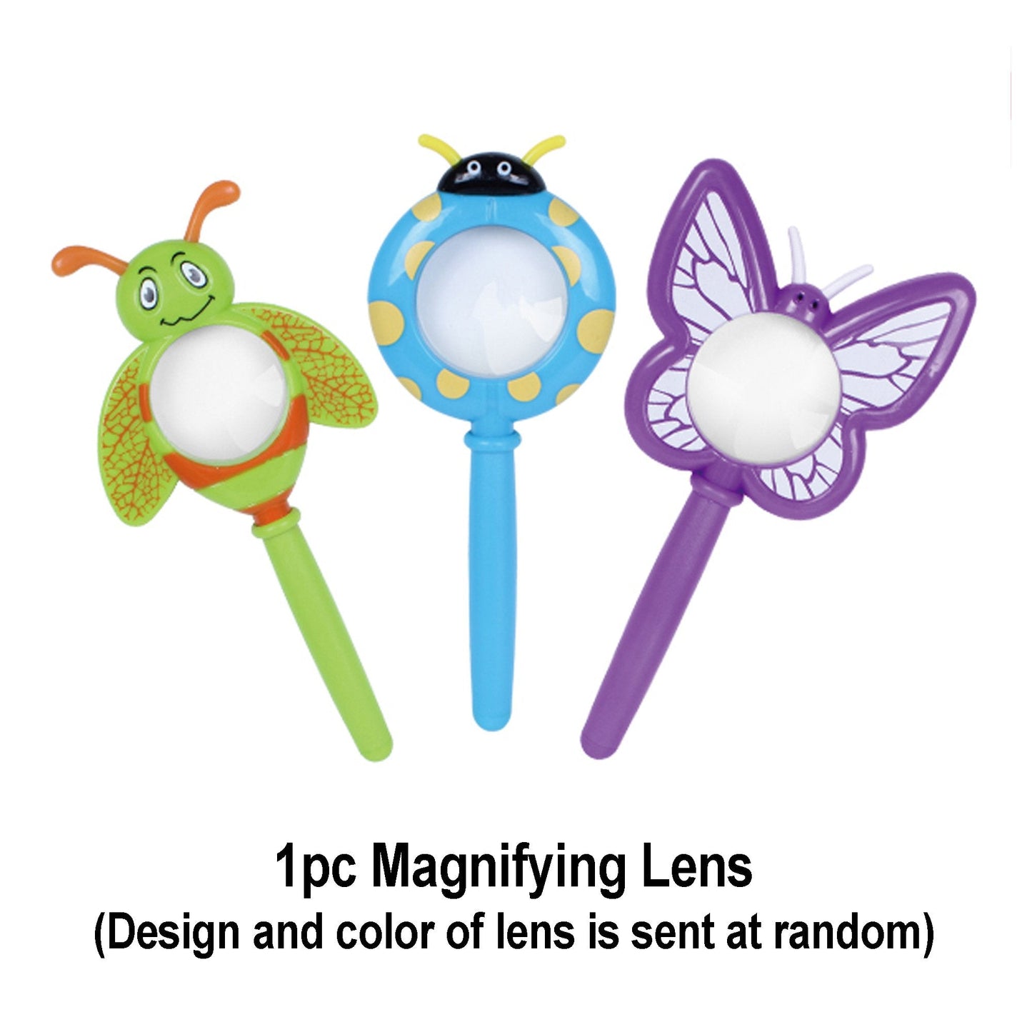 4 Real Bugs Insect Arachnid Resin Specimen STEM Set Magnifier Fun Fact Sheet Poster
