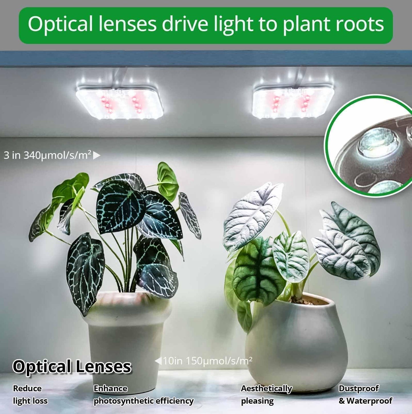DOMMIA Full Spectrum LED Grow Light for Indoor Plants, 2 Panels 10W with 6/12/16h Timer Dimmable Plant Lights for Flower Veg Plant Growth USB, Netural White, 1-Pack