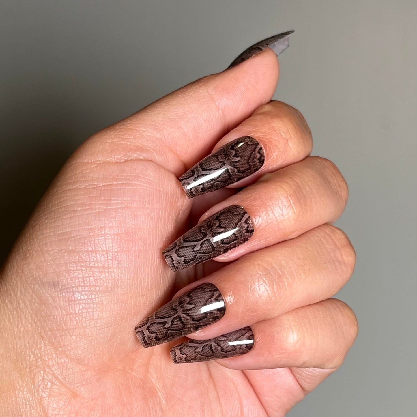 SOCIAL SNAKE Press-On Nails by Lavaa Beauty | Long Coffin | Black Glossy Snakeskin Design Nails