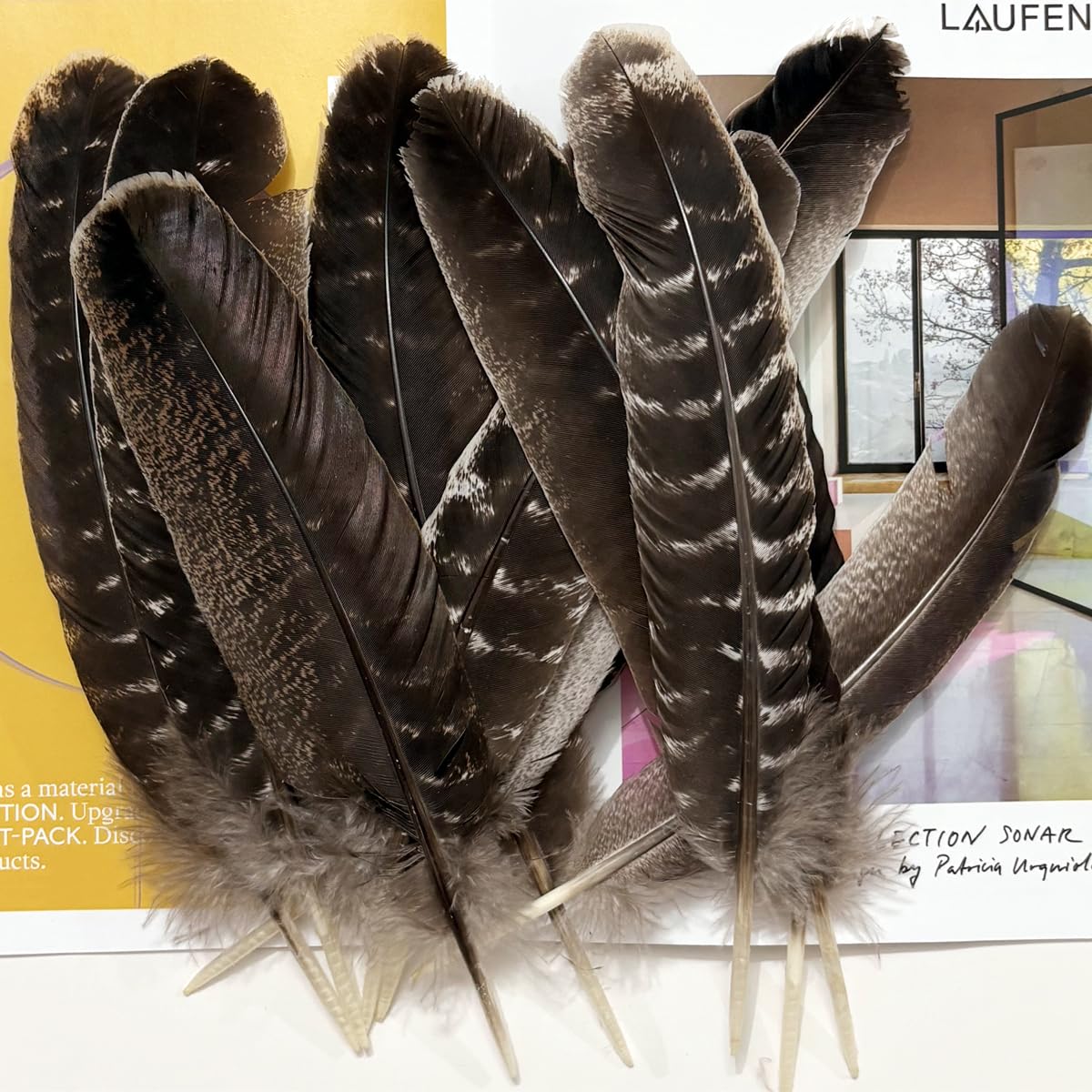 Turkey Wing Feathers,Natural Big Long Feather,11-13 inches (28-33cm),Large Size Bilateral Feathers,Left and Right Wings for Crafts,Bulk 12pcs (Natural Turkey Wing-1)