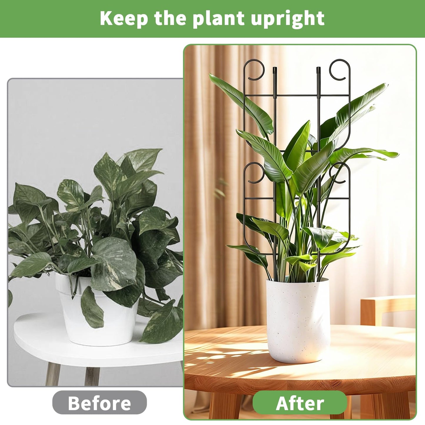 4 Pack Trellis for Climbing Plants Indoor, Expandable Small Metal Trellis for Potted Plants, Flowers Vine Ivy, Sturdy Houseplant Pothos Plant Climber Support
