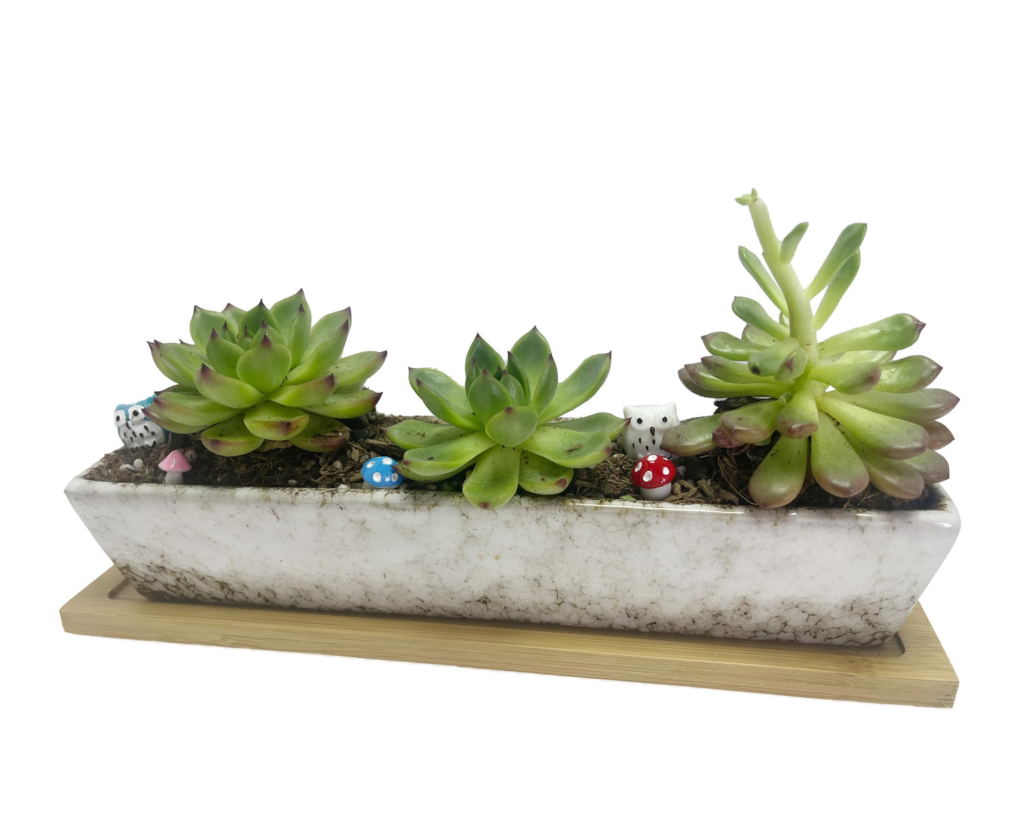 SWONVI 10 inch Ceramic Succulent Planters with Drainage Small Bonsai Pot with Bamboo Tray, Mini Shallow Planter Pot, Rectangular Window Planters for Indoor Plants (White 1 pcs)