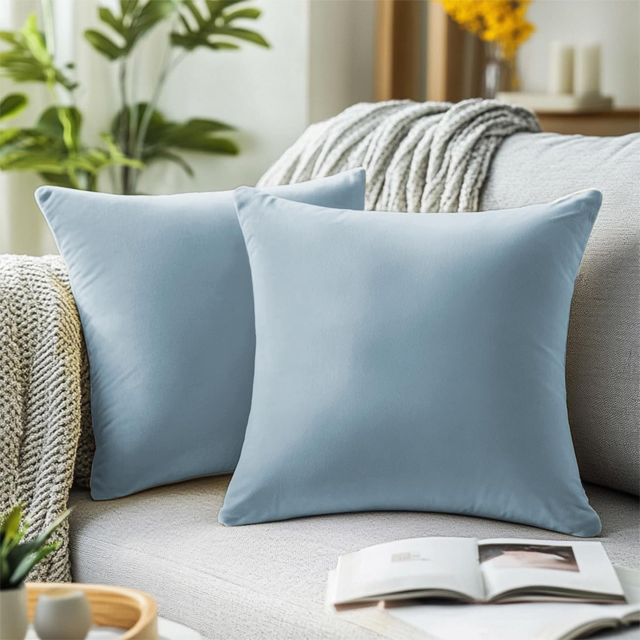 QUORGVES Light Blue Velvet Pillow Covers 24x24 Inch Set of 2, Soft Solid Decorative Square Throw Pillow Covers, Decor Cushion Covers for Bed Sofa Couch Bedroom Living Room - Coastal Sky Baby Blue