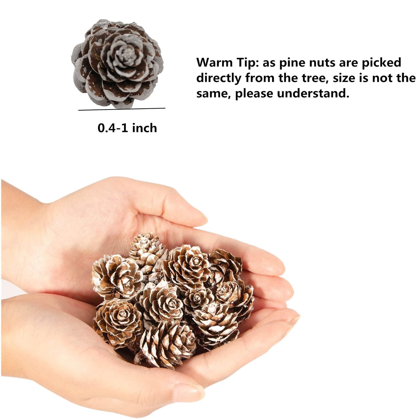 fypuda 160 PCS Mini Snow Pine Cones Christmas Thanksgiving Pine Cones Bulk White Christmas Small Tiny Pinecones Ornaments for Home Decoration DIY Crafts Wedding Xmas Tree Fall Winter Decor