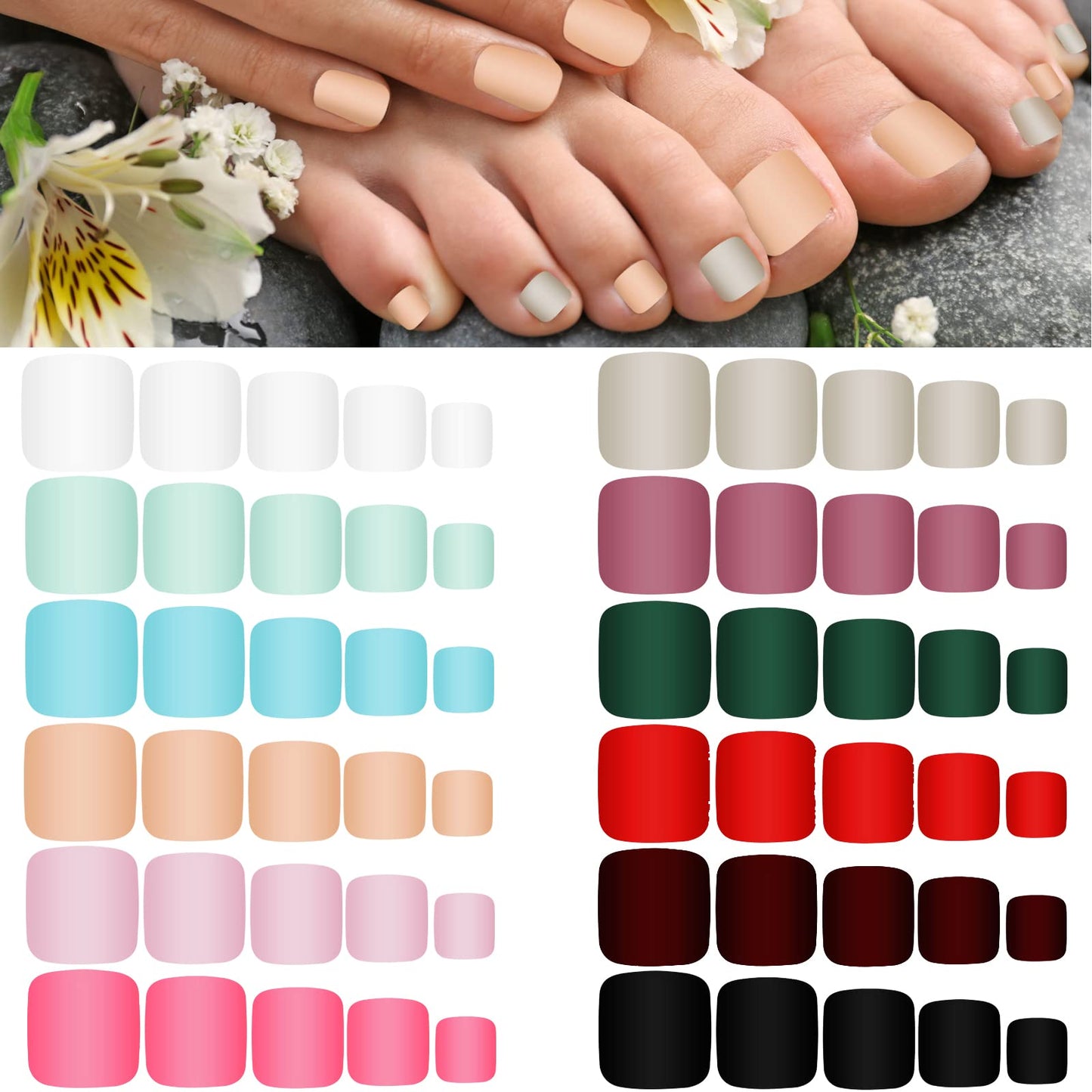 Maitys 336 Pieces 12 Sets Toenail Press on Fake Toe Nails Short Square False Glue on Solid Color Full Cover Press Nails Matte Fake Toenails for Women(Chic Colors)