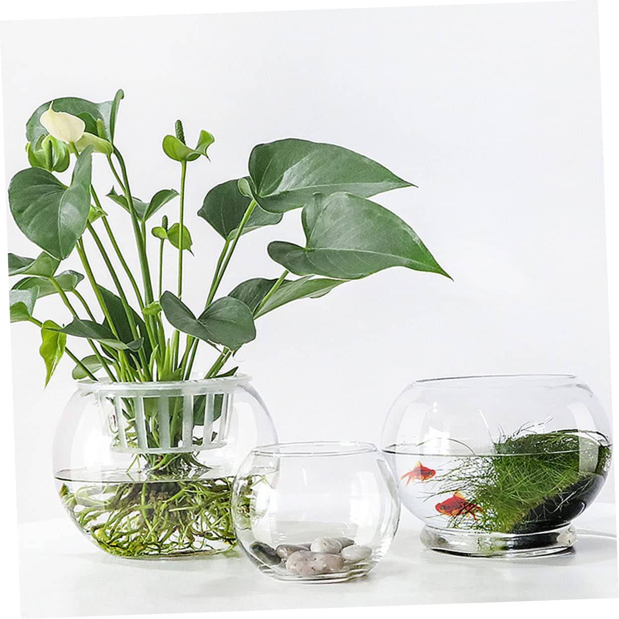 Ipetboom Transparent Hydroponic Glass Vase Rounded Desktop Plant Holder for Home Office Hotel Decor Smooth Rust Resistant Surface Fish Tank Terrarium Centerpiece