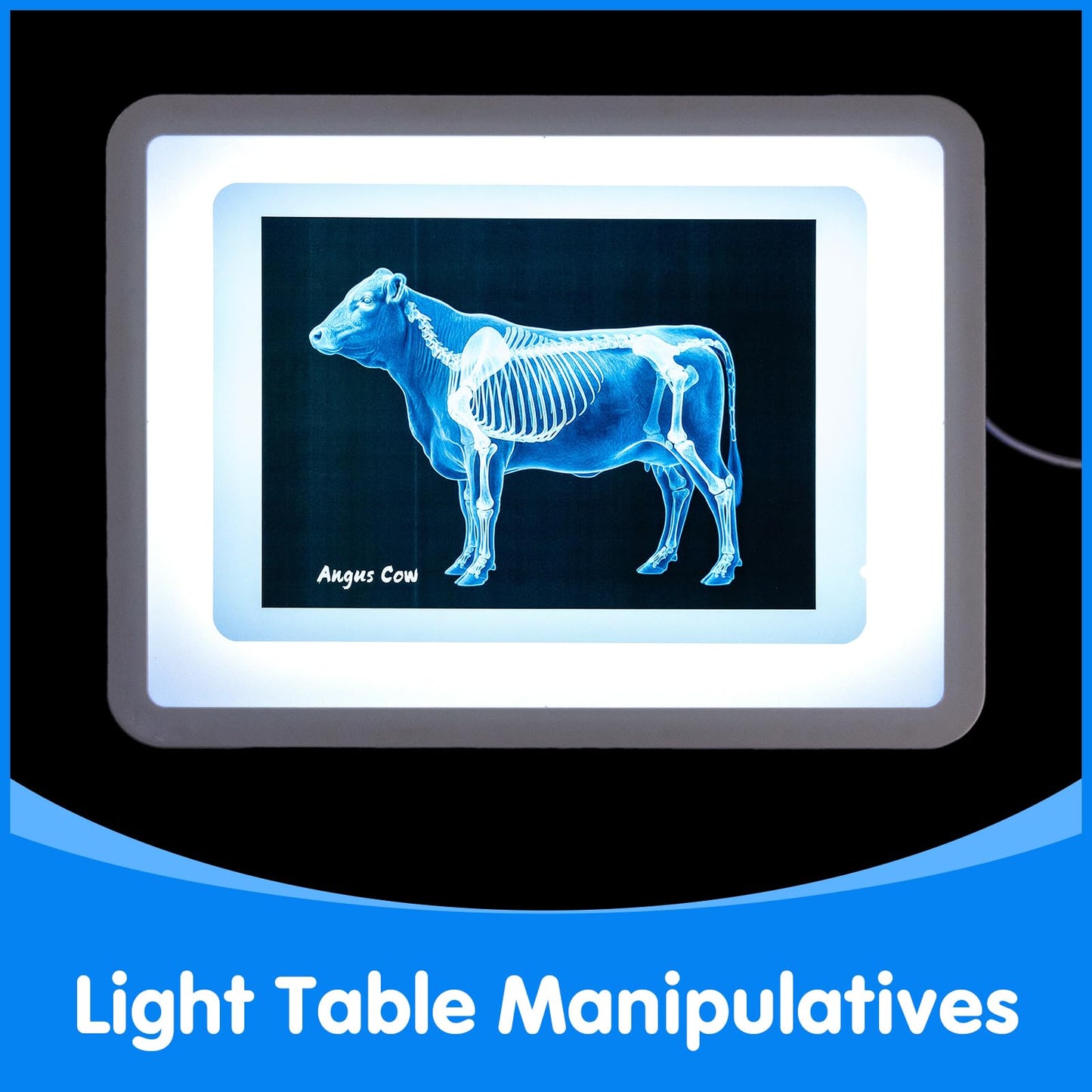 Odoorgames Farm Animal Xrays - 140 Pcs Translucent Pattern Blocks, Sensory Light Table Toy Set for Kids, Artist Tracing Light Box, LED Light Up Sensory Table Toys