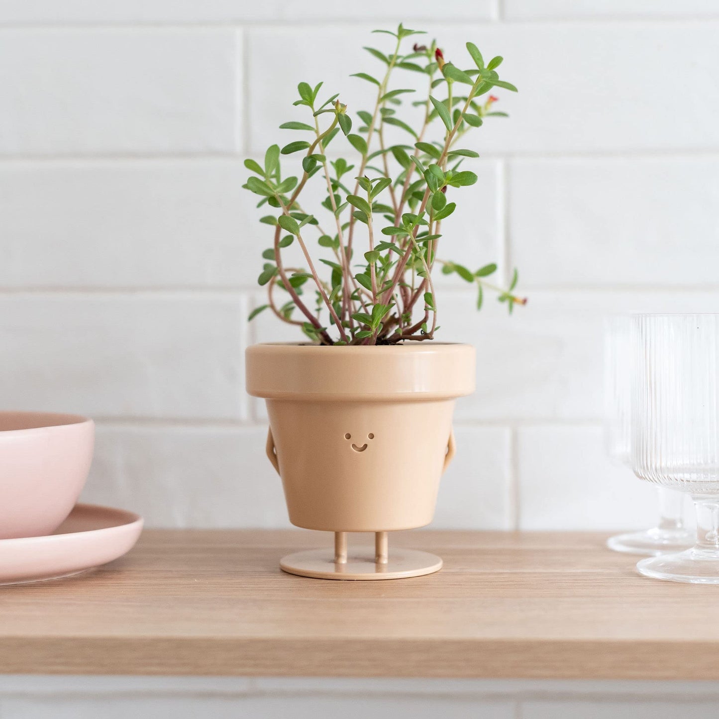 Cute Indoor Plant Pots Set of 3, Unique Plastic Succulent Pots for Plant Lovers (Plants NOT Included)