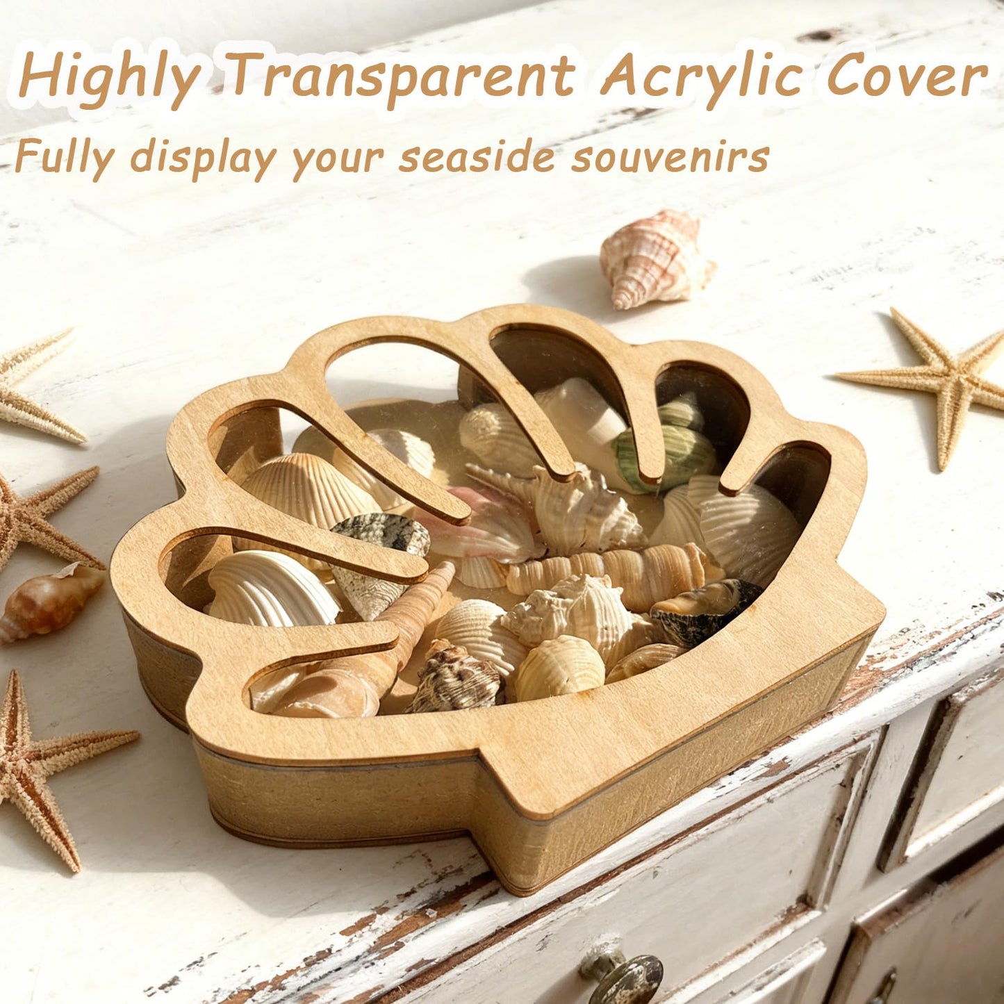 SEP SHIZHI Wooden Seashell Display Case with Acrylic Window, Sea Shell Holder, Sea Glass Shark Tooth Starfish Storage Collection Shadow Box, Memory Keepsake Box, Coastal Home and Room Decor