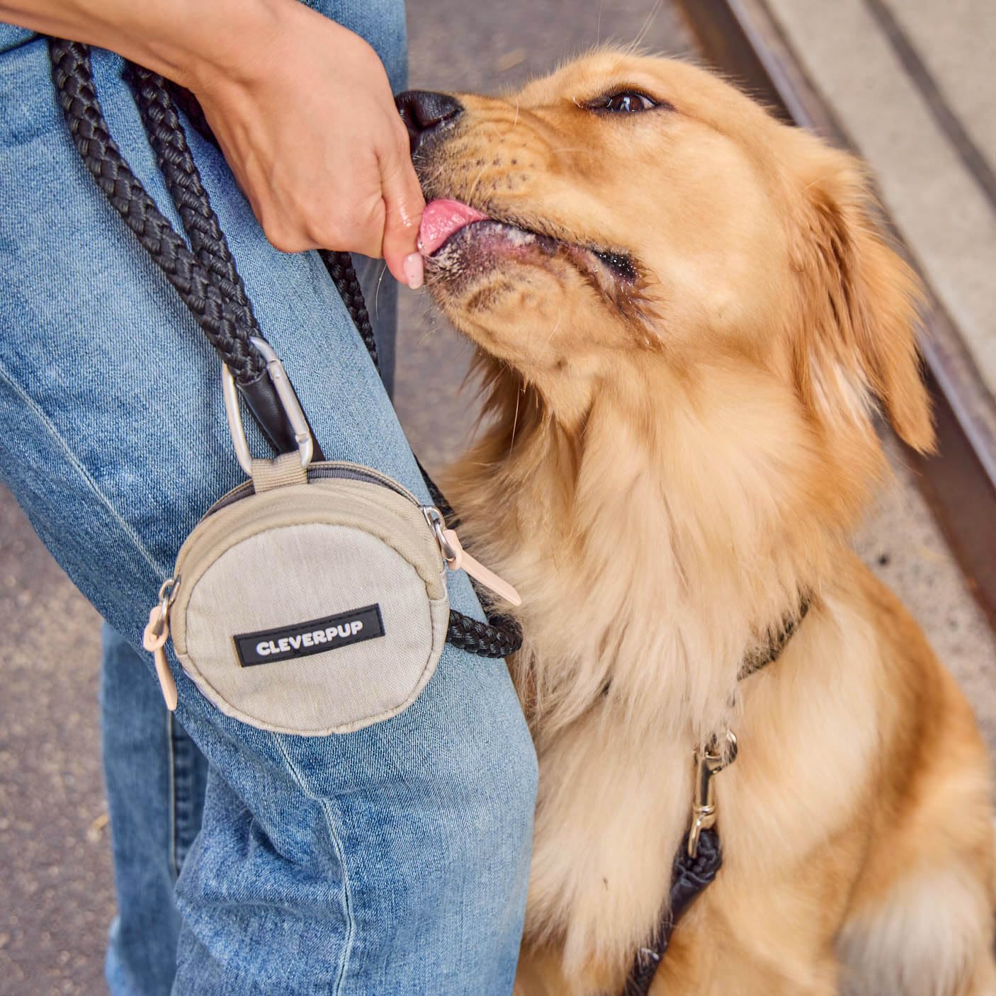 Cleverpup Dog Walk & Train Bundle - Hands Free Training Sling in Sand, Snackpack in Sand, & Small Nomad Bowl in Sand