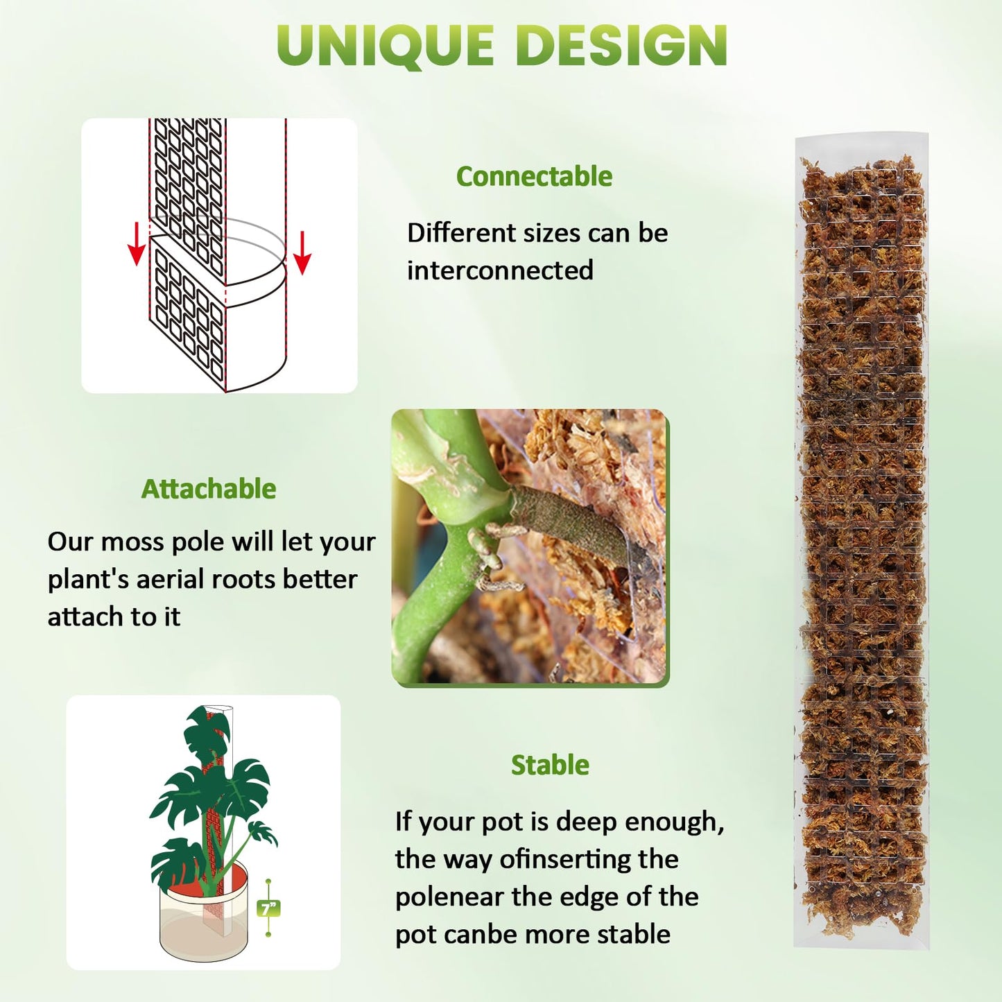 EOX 6 Pack 24" x2 + 36" x2 + 48" x2 Plastic Moss Pole for Monstera, Large D Shaped Poles for Climbing Plants Work with Sphagnum Moss, 210 Inch Total